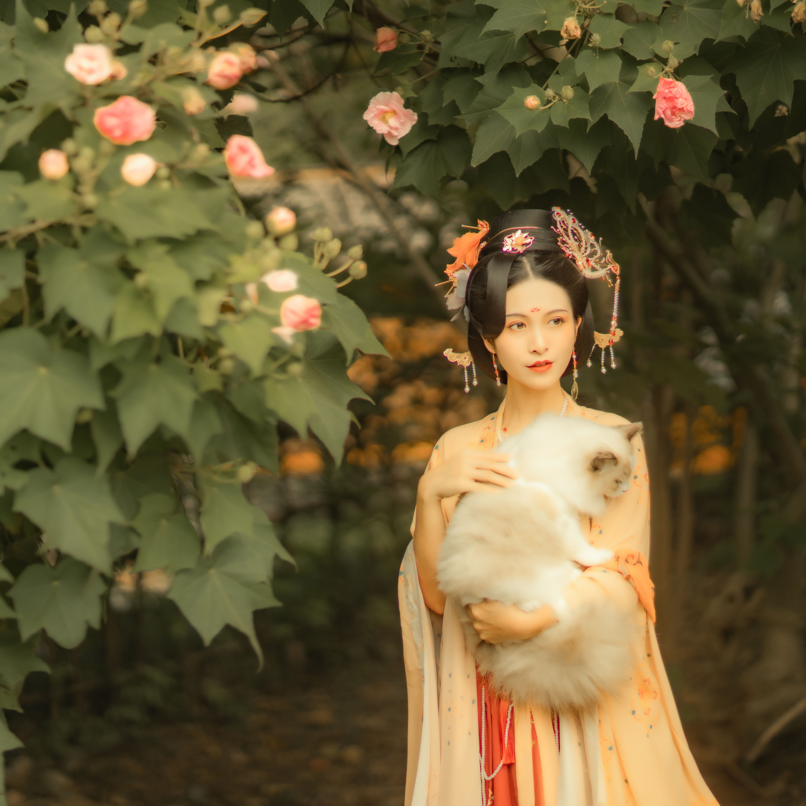 图片[5]-修水凝花 – 《芙蓉词》[38P]-COS写真在线网