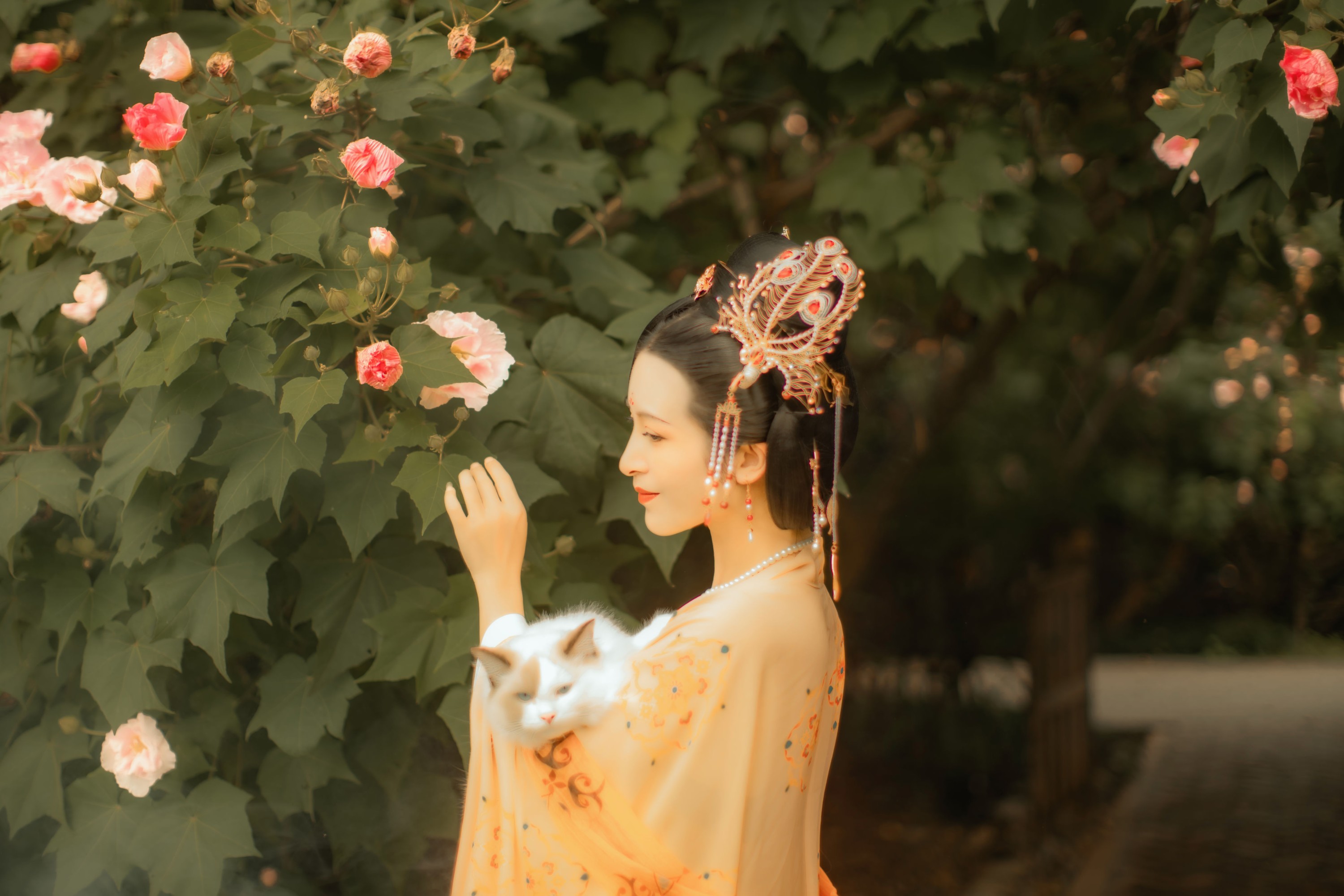 图片[4]-修水凝花 – 《芙蓉词》[38P]-COS写真在线网