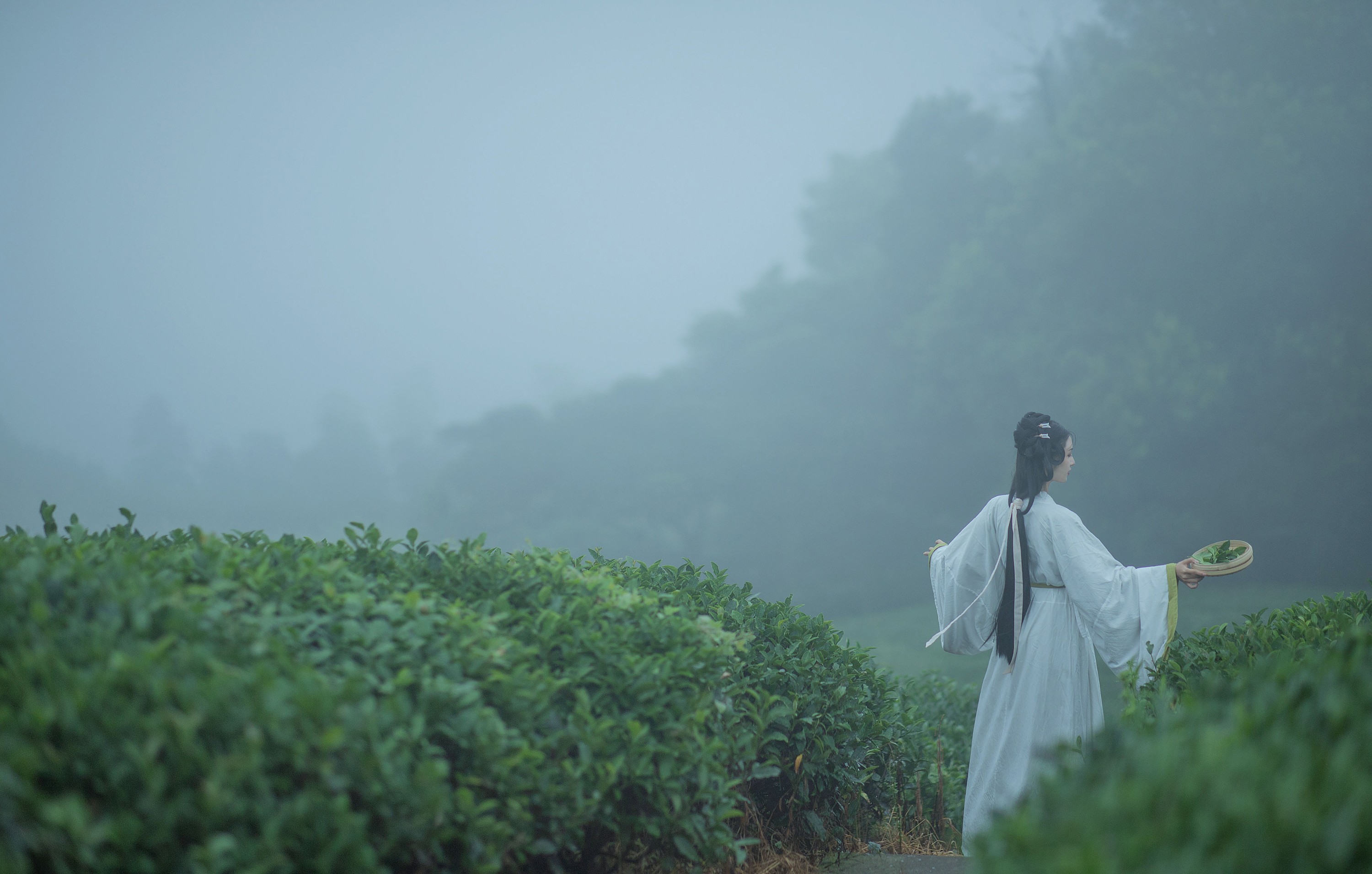 图片[4]-十八重川 – 《采茶女》[20P]-COS写真在线网
