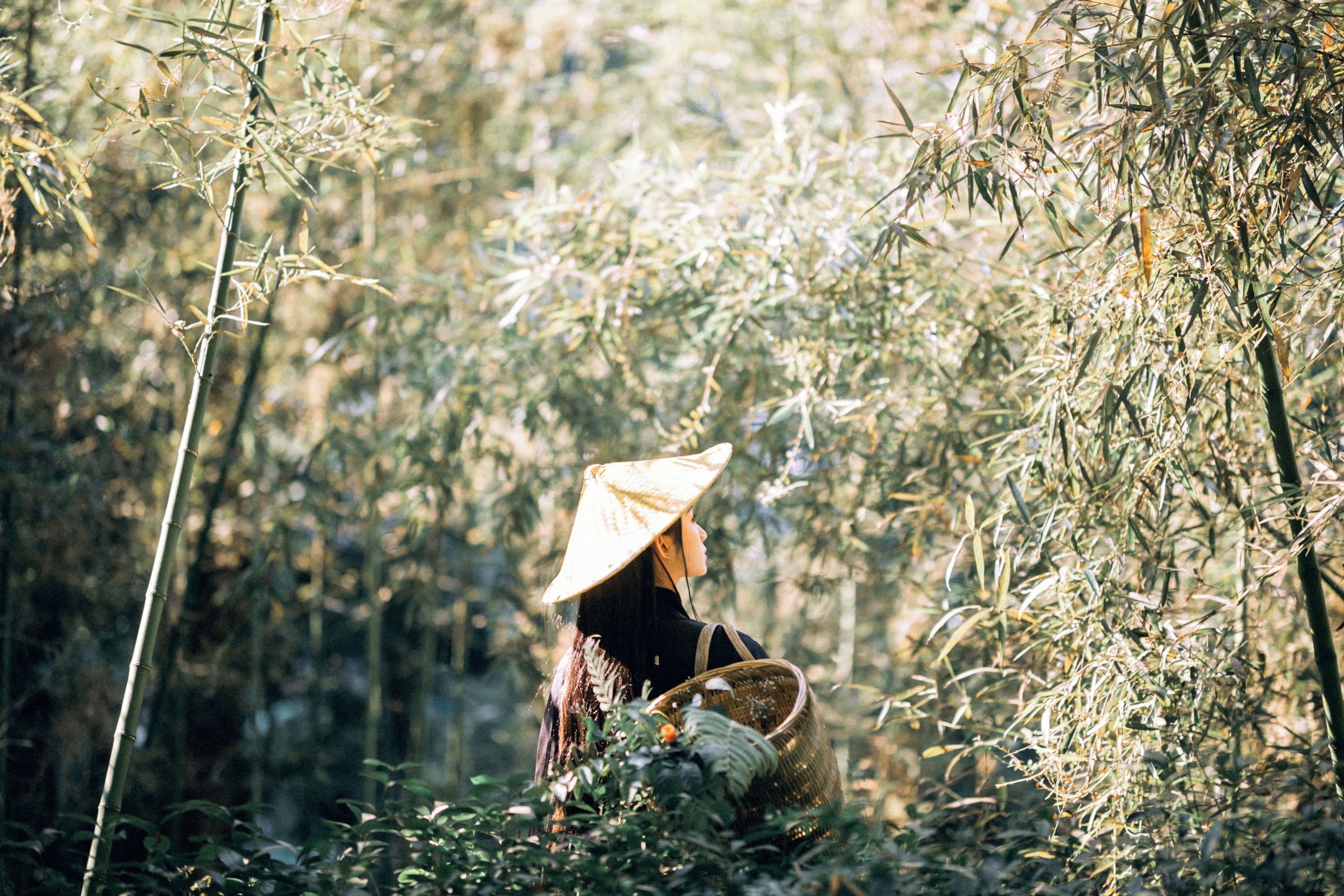 图片[3]-七屿呀_ – 《采药》[30P]-COS写真在线网
