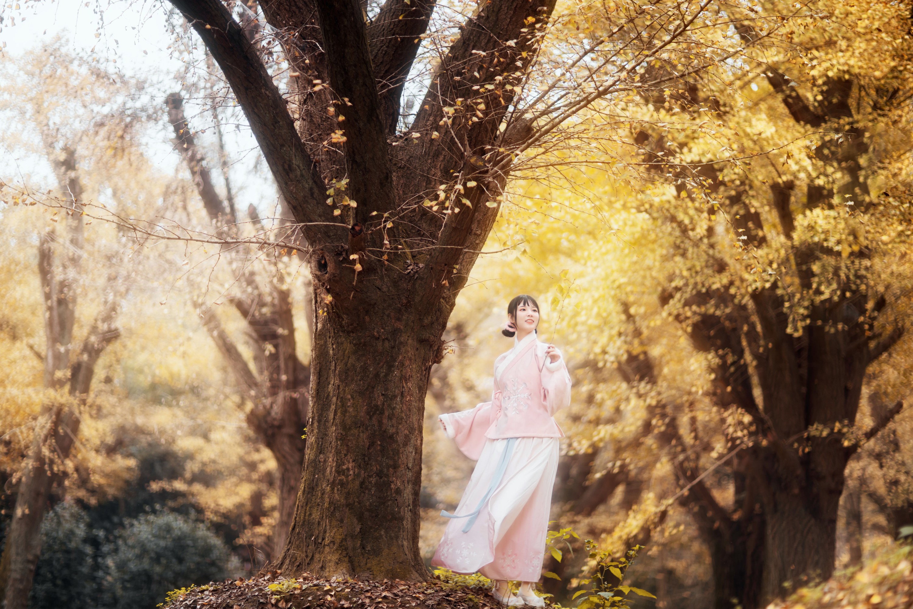 图片[4]-李太白 – 《杏仙歌》[32P]-COS写真在线网