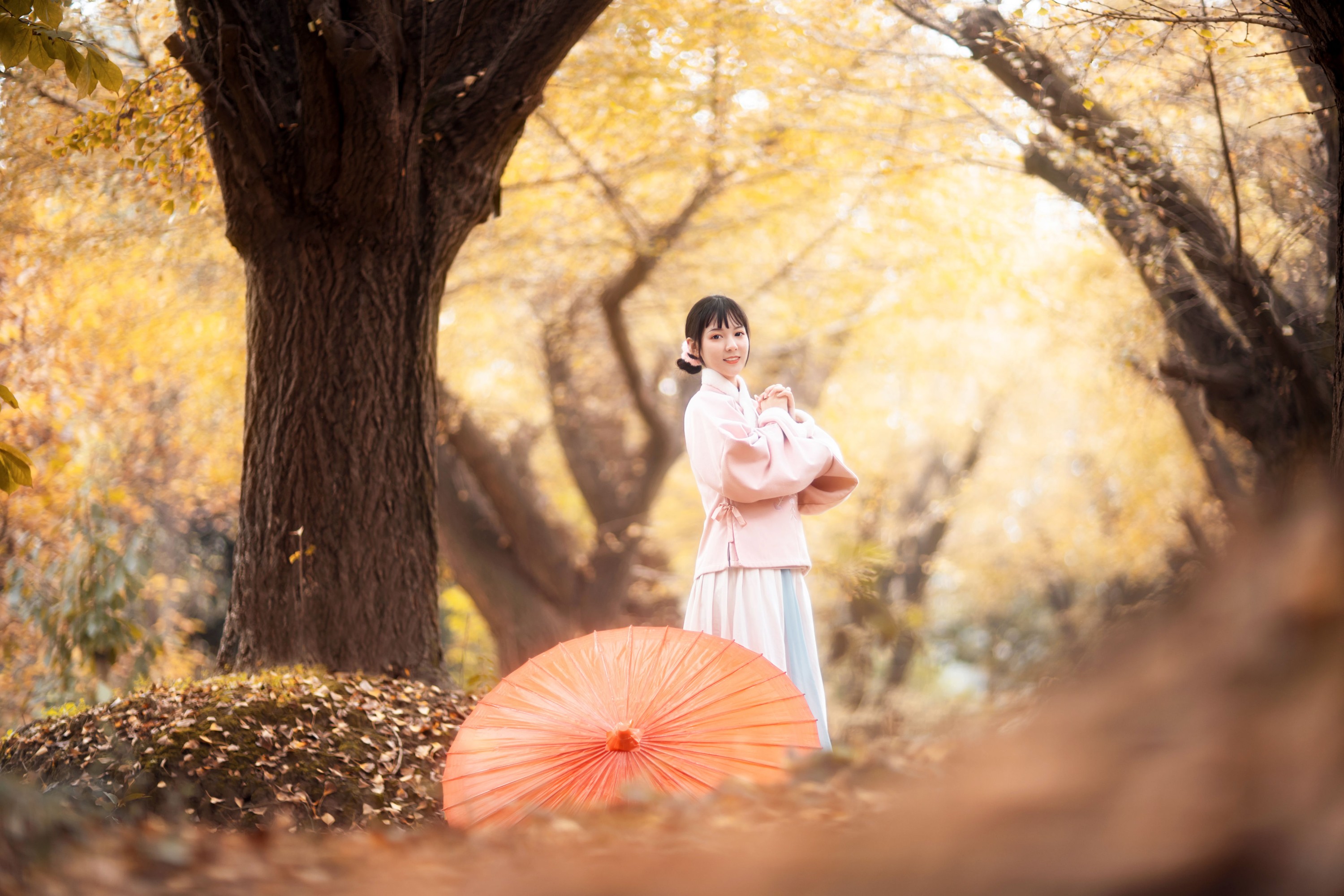 图片[3]-李太白 – 《杏仙歌》[32P]-COS写真在线网