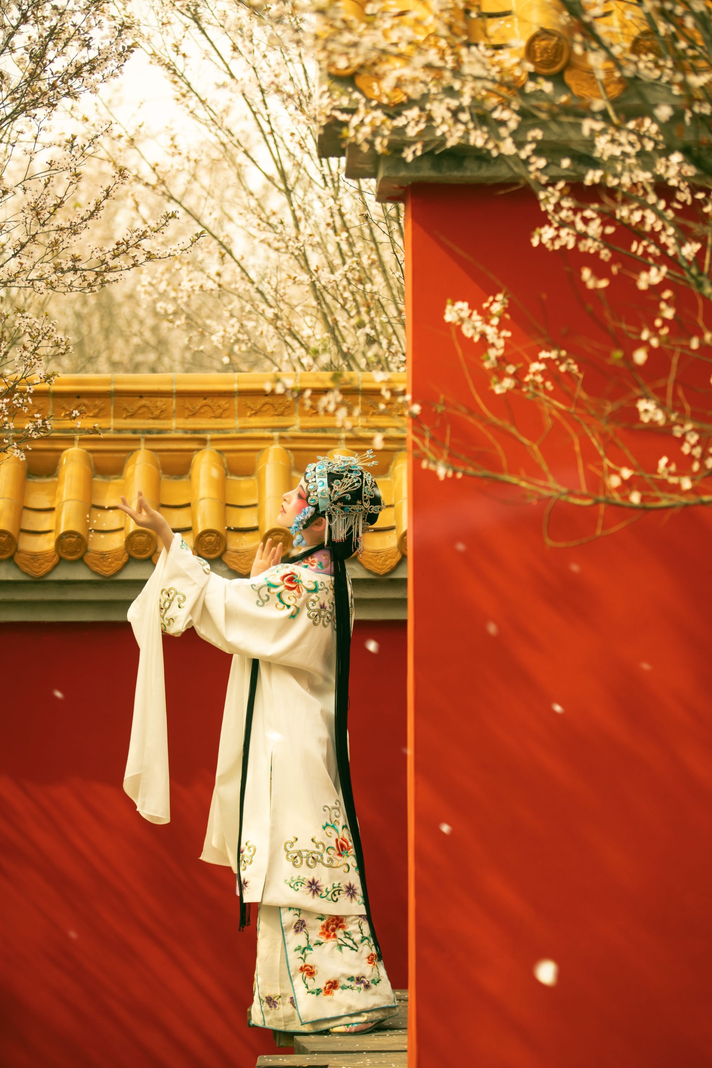 图片[5]-修水凝花 – 《花满枝》[23P]-COS写真在线网