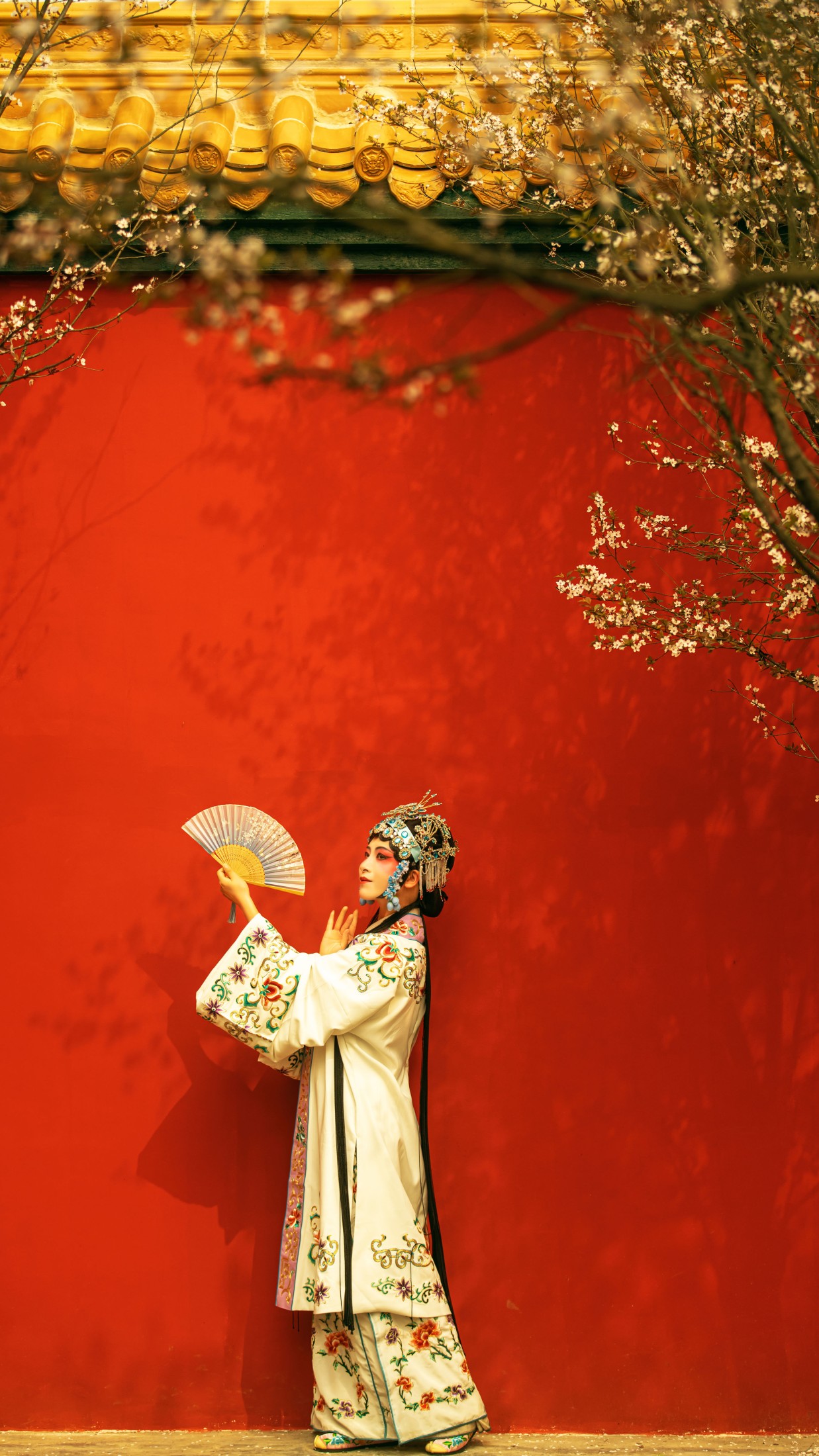 图片[3]-修水凝花 – 《花满枝》[23P]-COS写真在线网