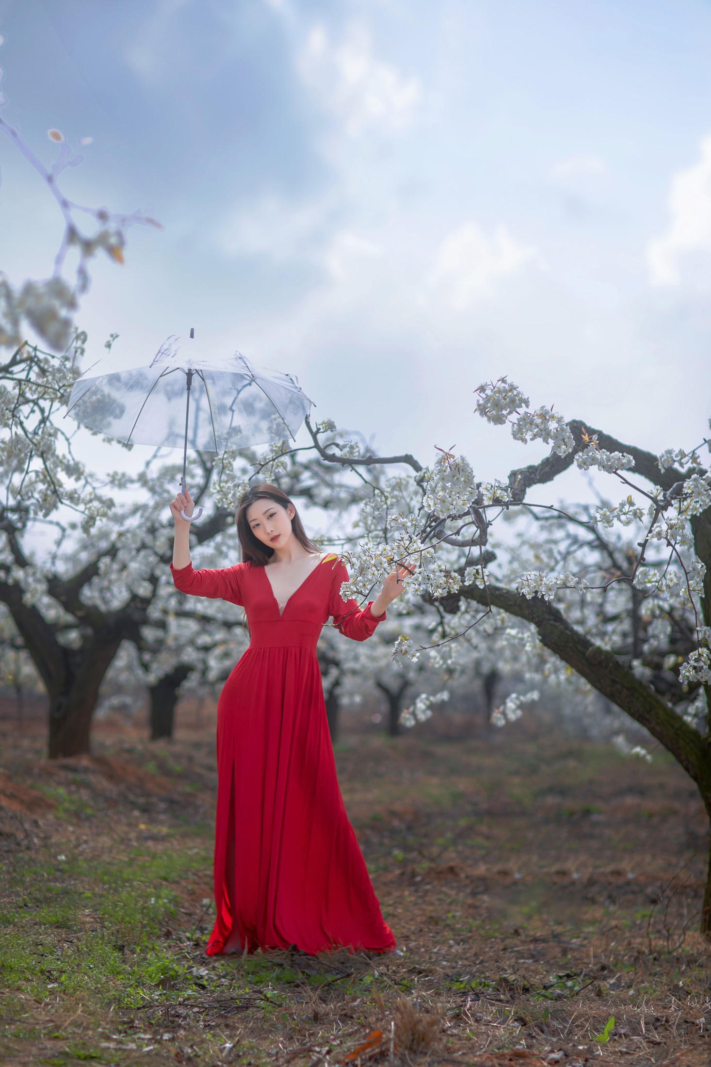 图片[3]-如意 – 《一袭红妆拂梨花》[32P]-COS写真在线网