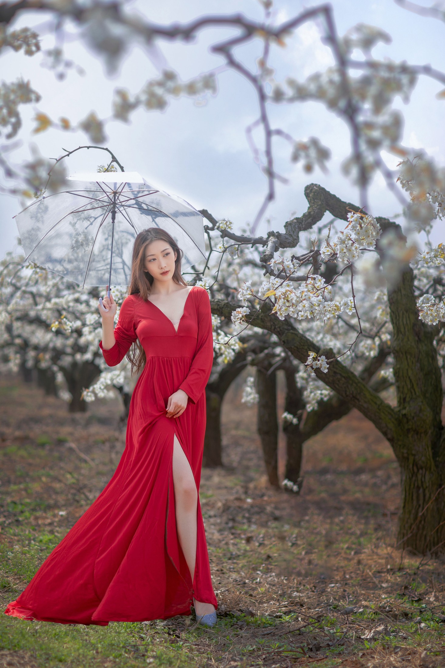 图片[5]-如意 – 《一袭红妆拂梨花》[32P]-COS写真在线网
