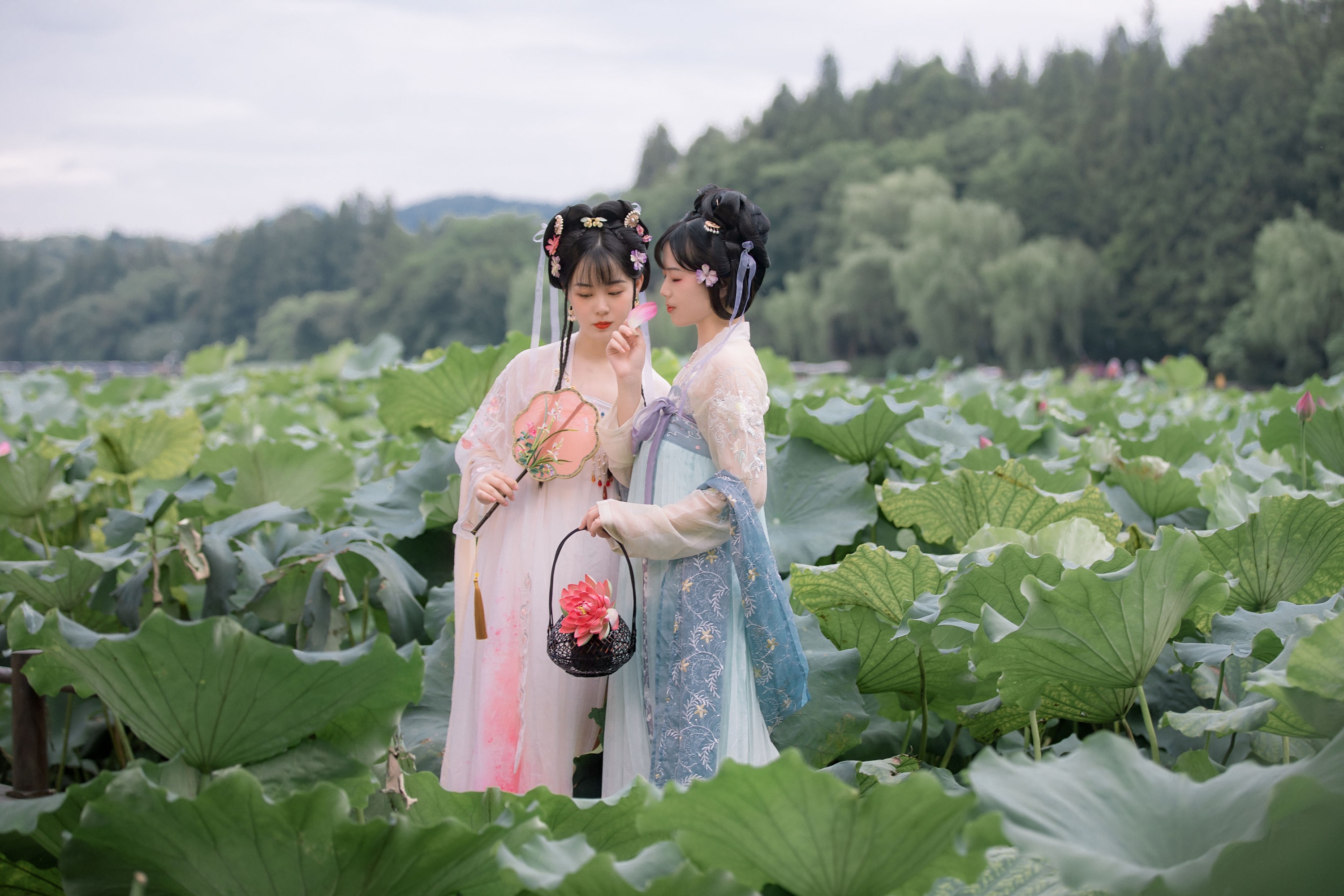 图片[3]-乌啾啾 僵僵 – 《赏荷》[24P]-COS写真在线网