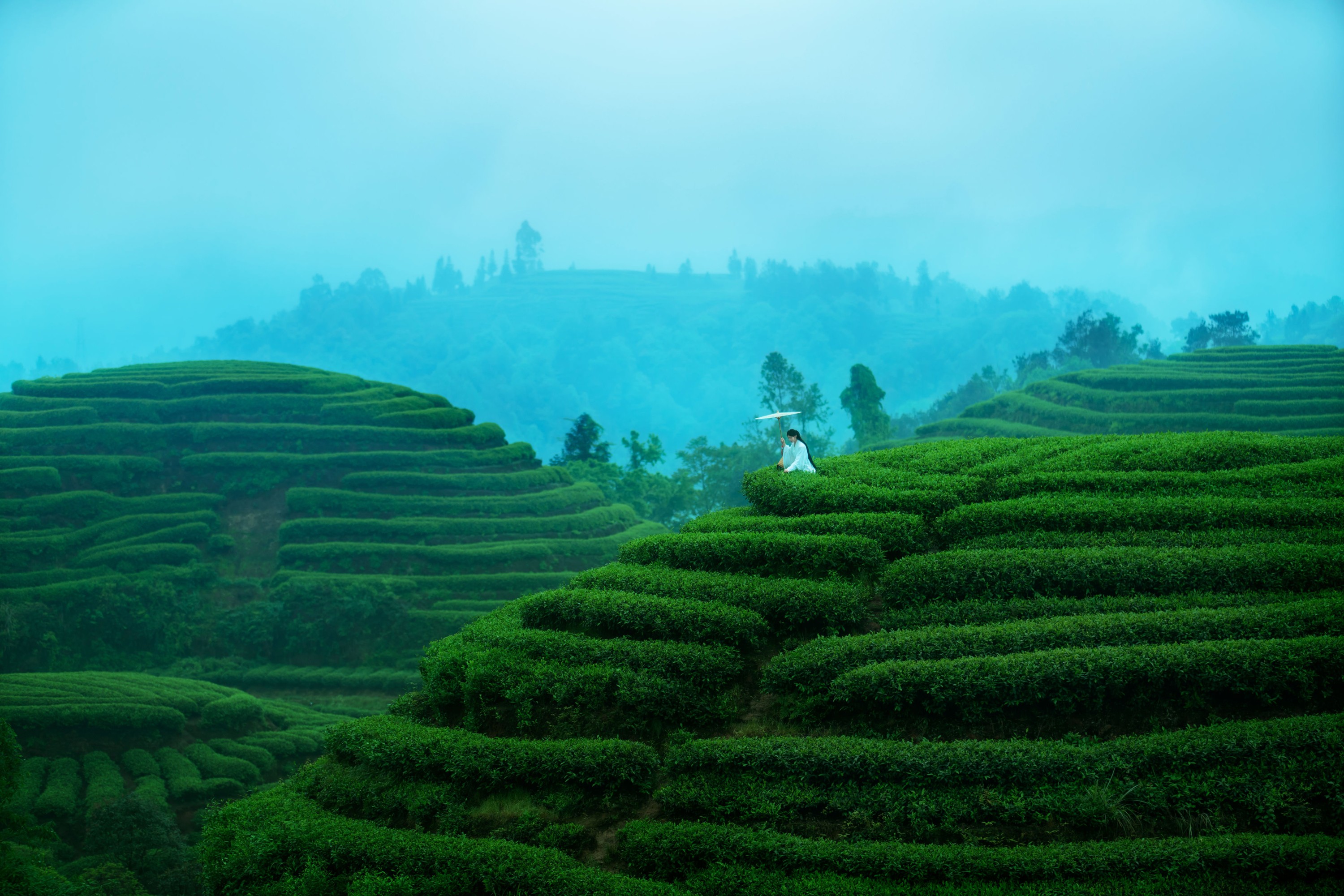 图片[3]-初茶 – 《空山灵雨》[27P]-COS写真在线网