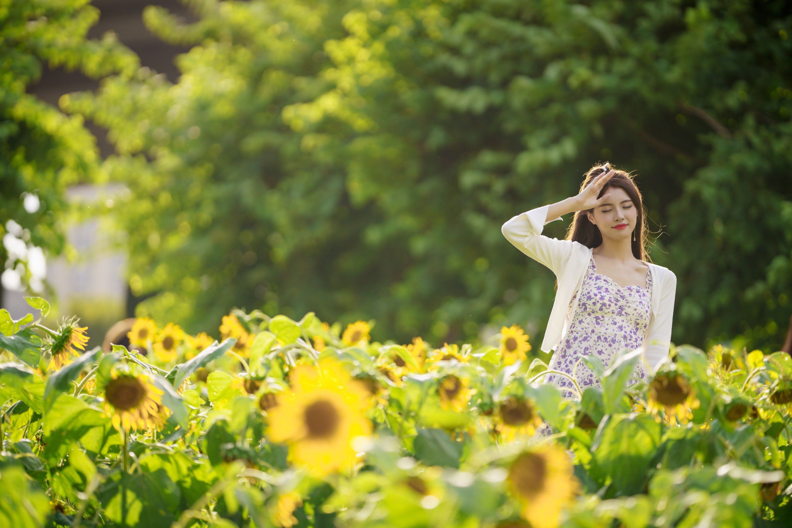 图片[3]-滕静 – 《向日葵花海》[31P]-COS写真在线网