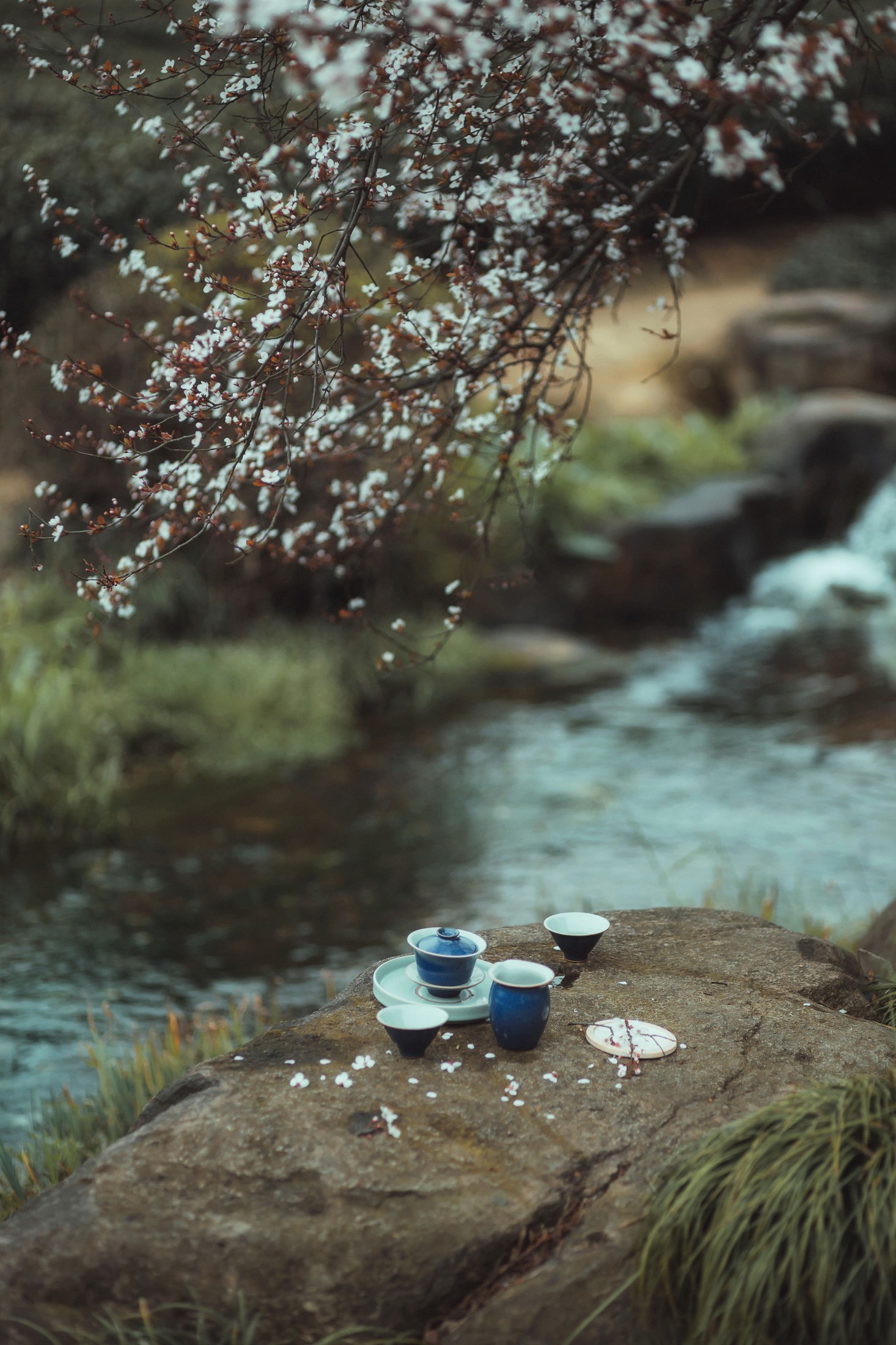 图片[5]-是敬賢呀 – 《山泉煎茶》[20P]-COS写真在线网