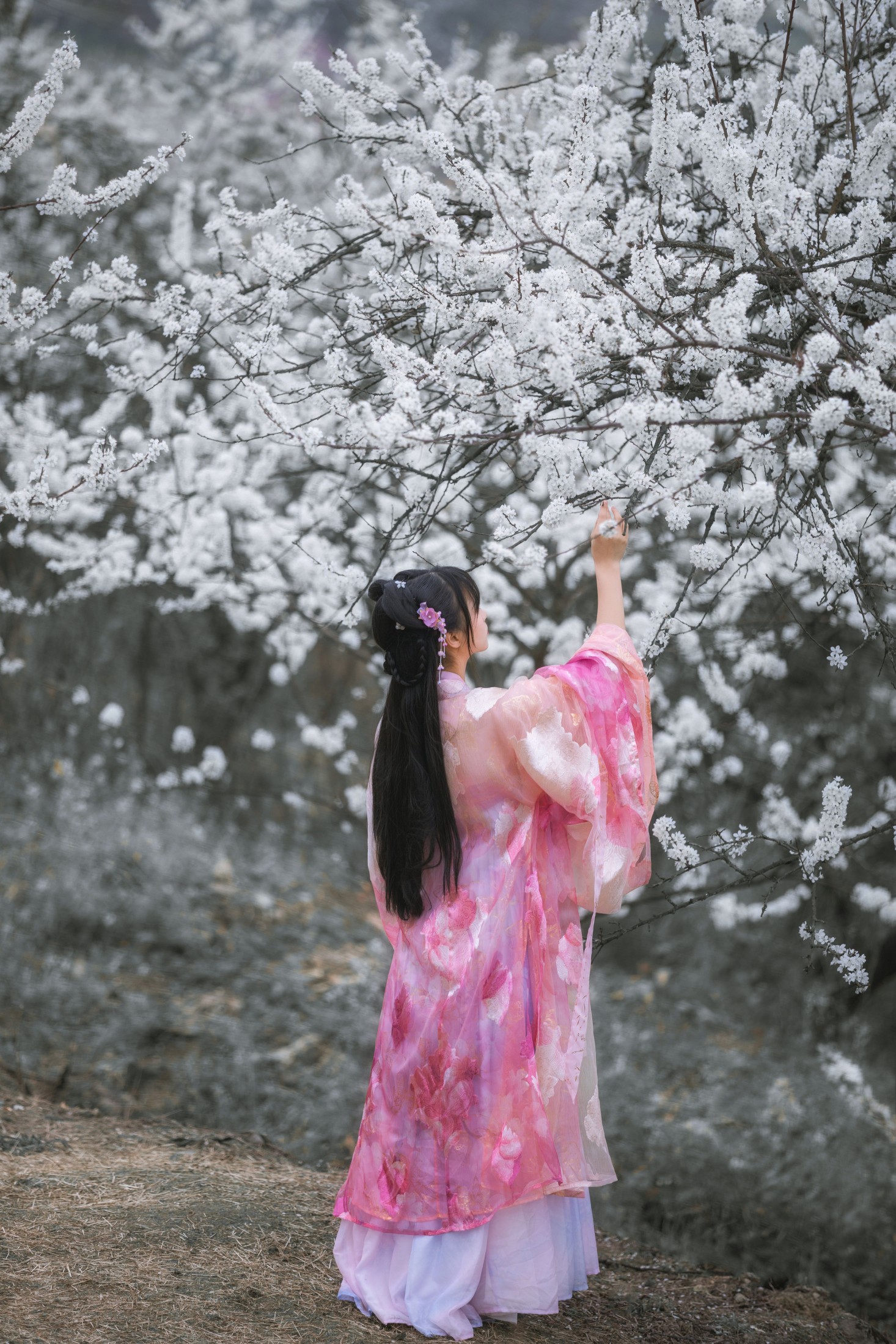 图片[4]-赵瑞洁EZ_ – 《杏花弦外雨》[23P]-COS写真在线网