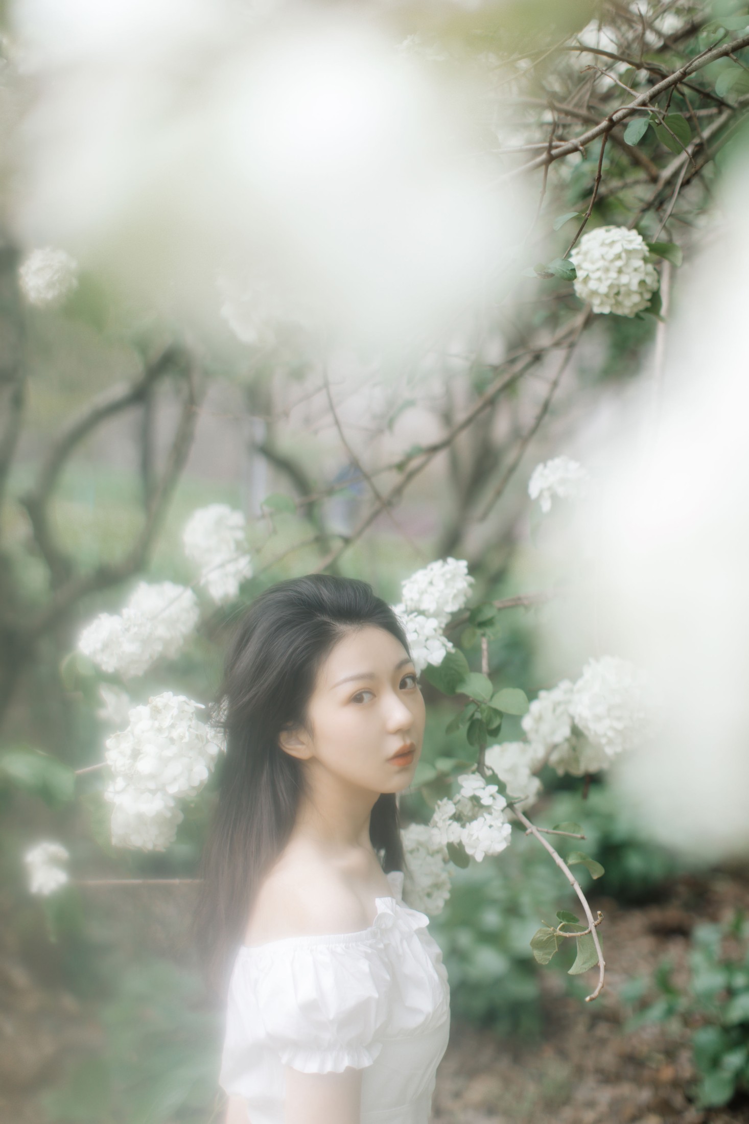 图片[3]-小汤姆 – 《绣球花开》[22P]-COS写真在线网
