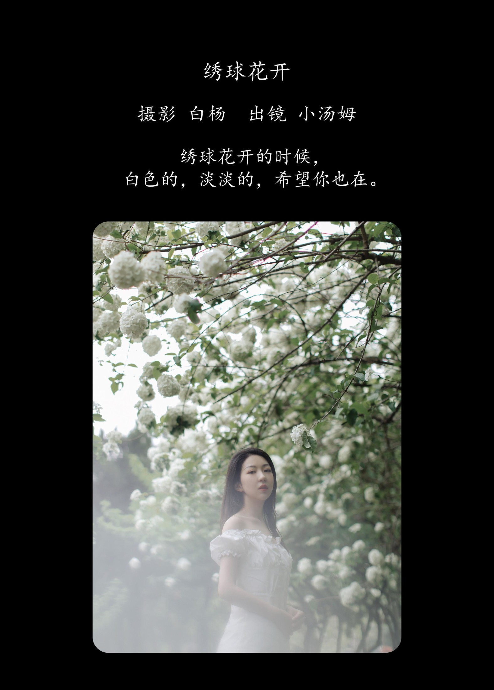 图片[2]-小汤姆 – 《绣球花开》[22P]-COS写真在线网
