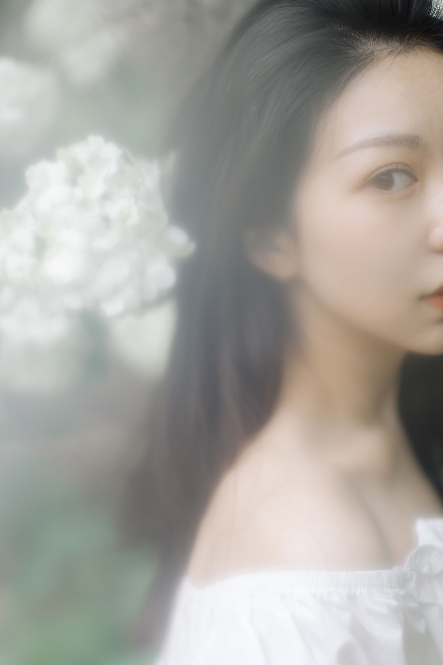 图片[4]-小汤姆 – 《绣球花开》[22P]-COS写真在线网
