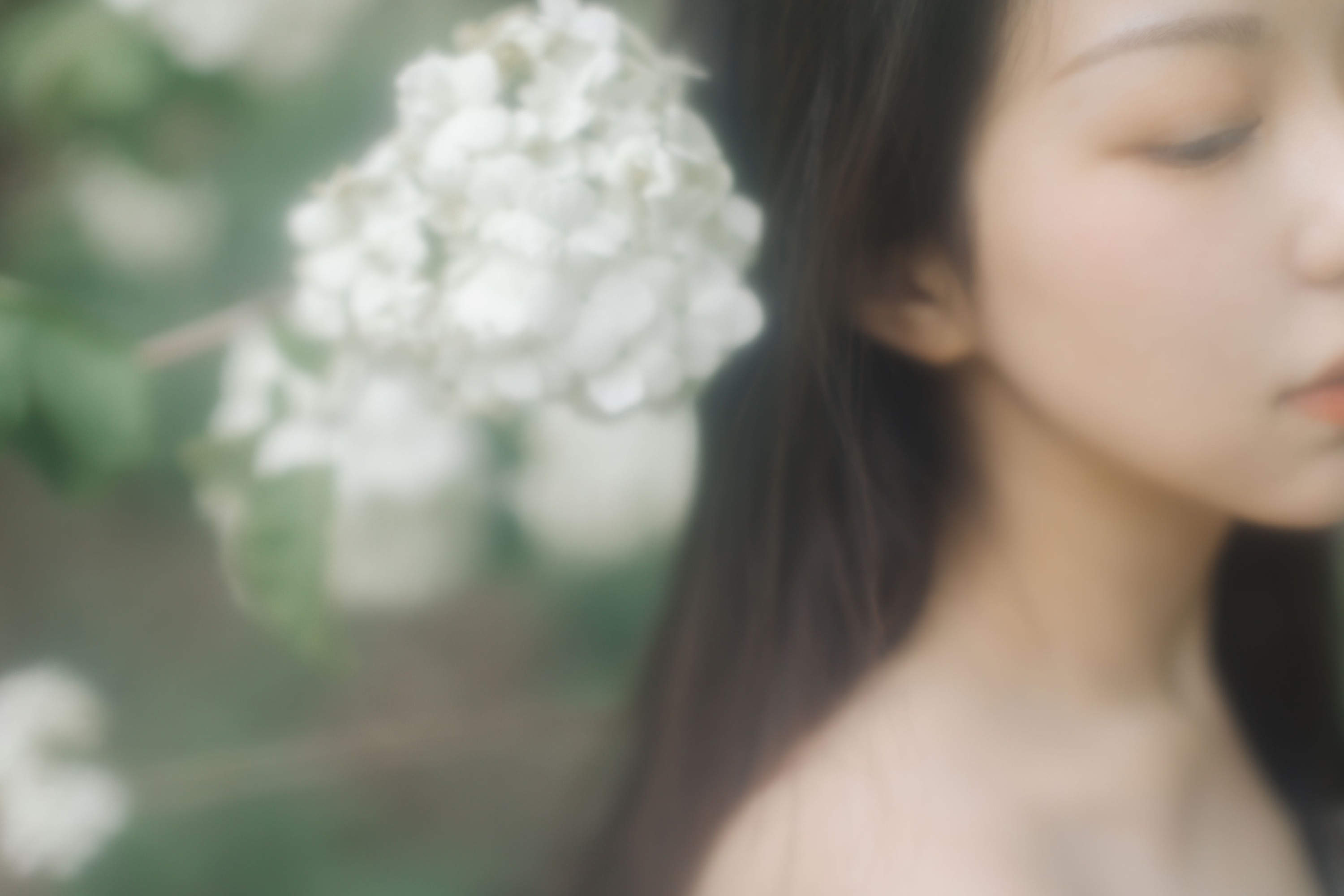 图片[5]-小汤姆 – 《绣球花开》[22P]-COS写真在线网