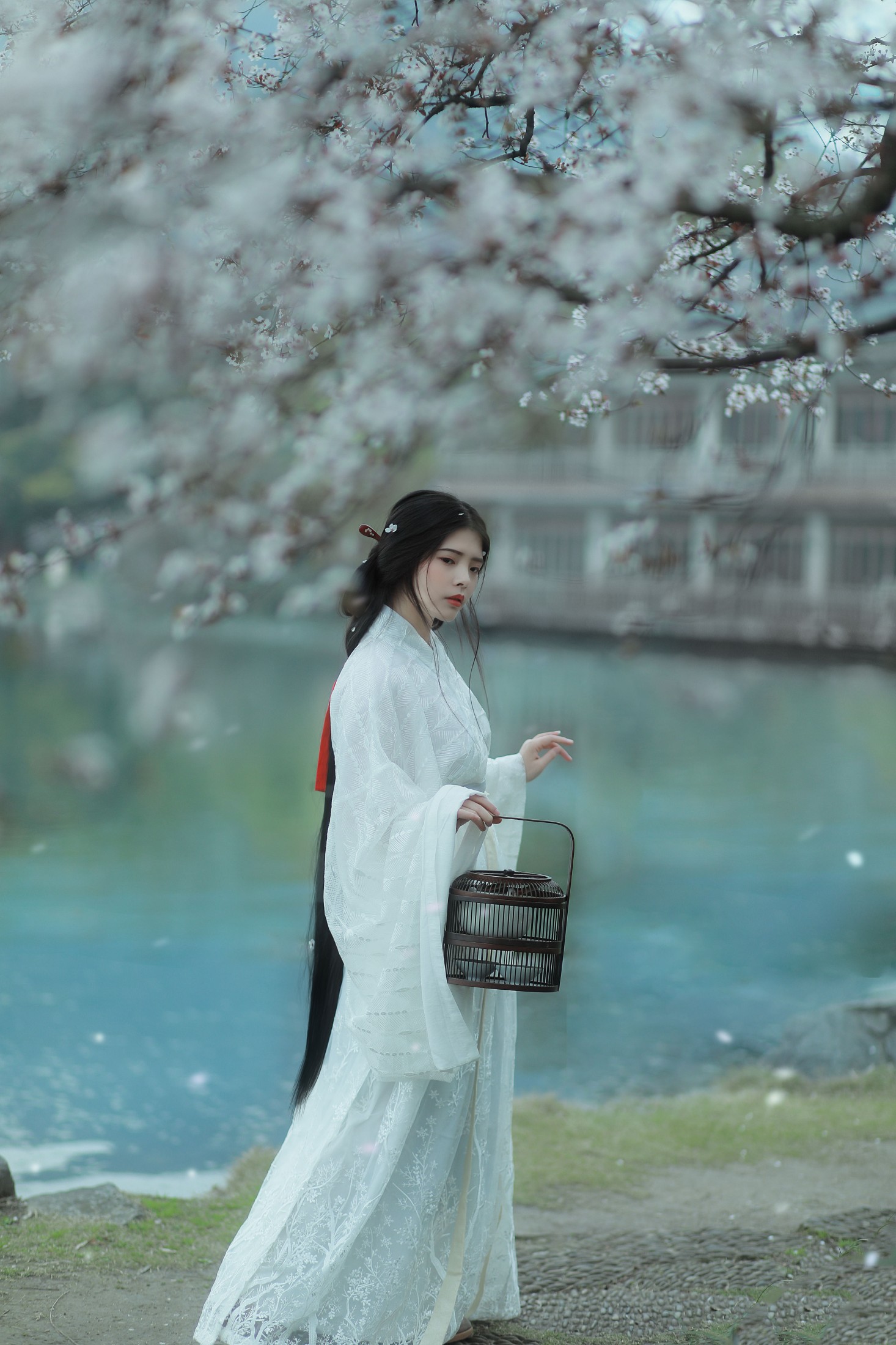 图片[3]-Abbye_e章 – 《杏花雨》[21P]-COS写真在线网