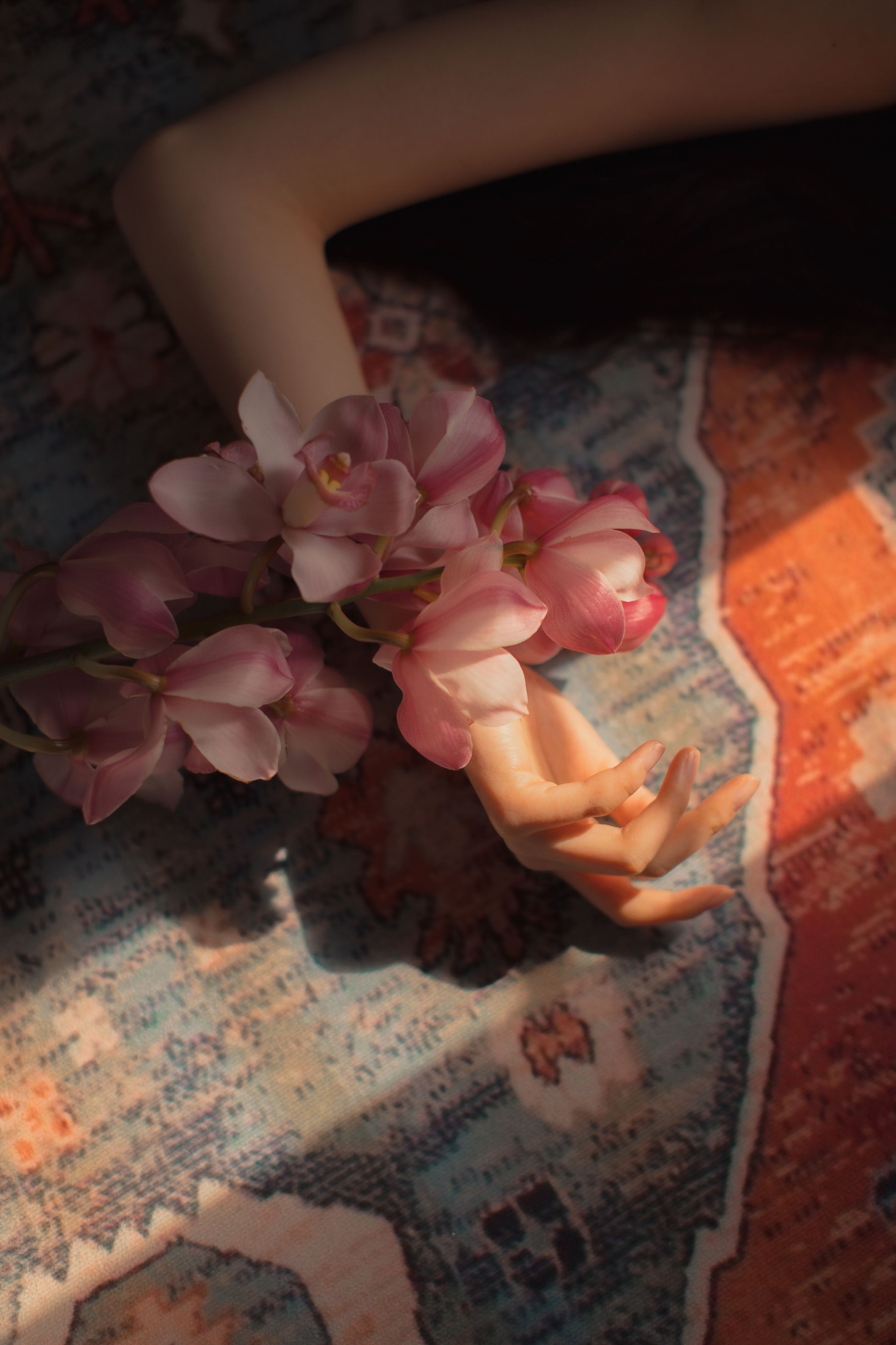图片[3]-Miya怡君 – 《大花蕙兰》[24P]-COS写真在线网