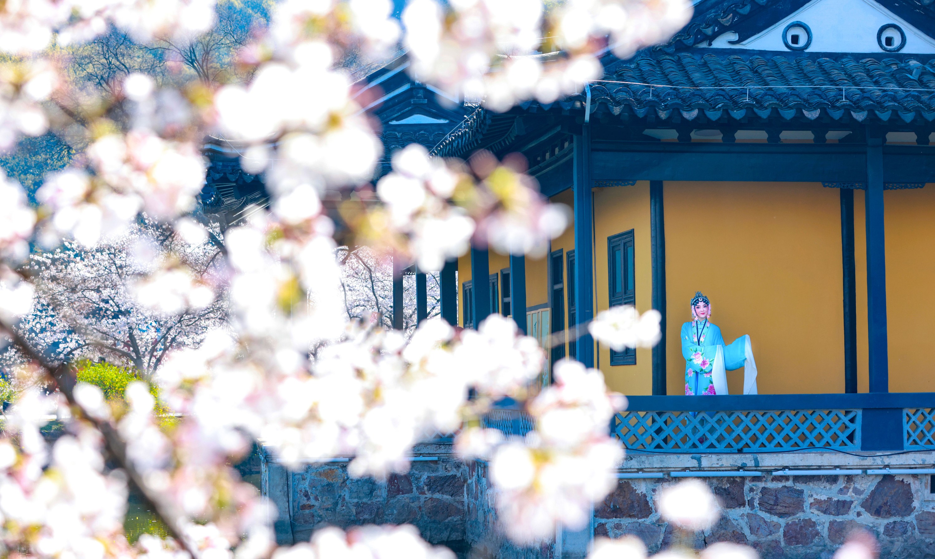 图片[4]-丹琼 – 《樱花有戏》[24P]-COS写真在线网