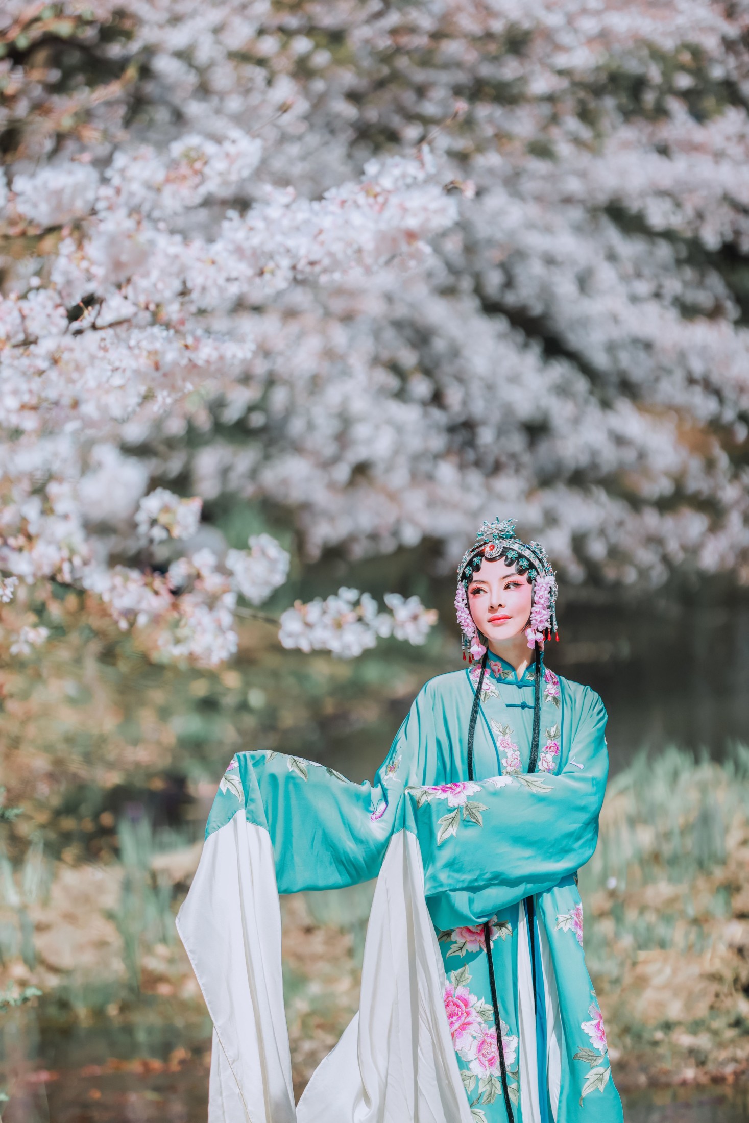 图片[3]-丹琼 – 《樱花有戏》[24P]-COS写真在线网