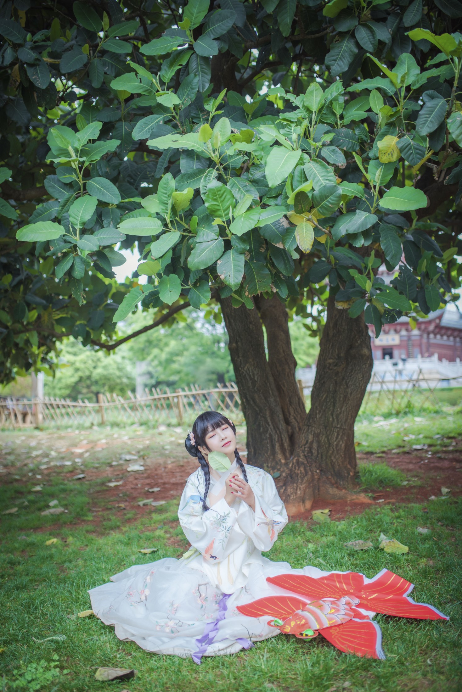 图片[4]-澪mio兔兔纸 – 《橘子》[23P]-COS写真在线网