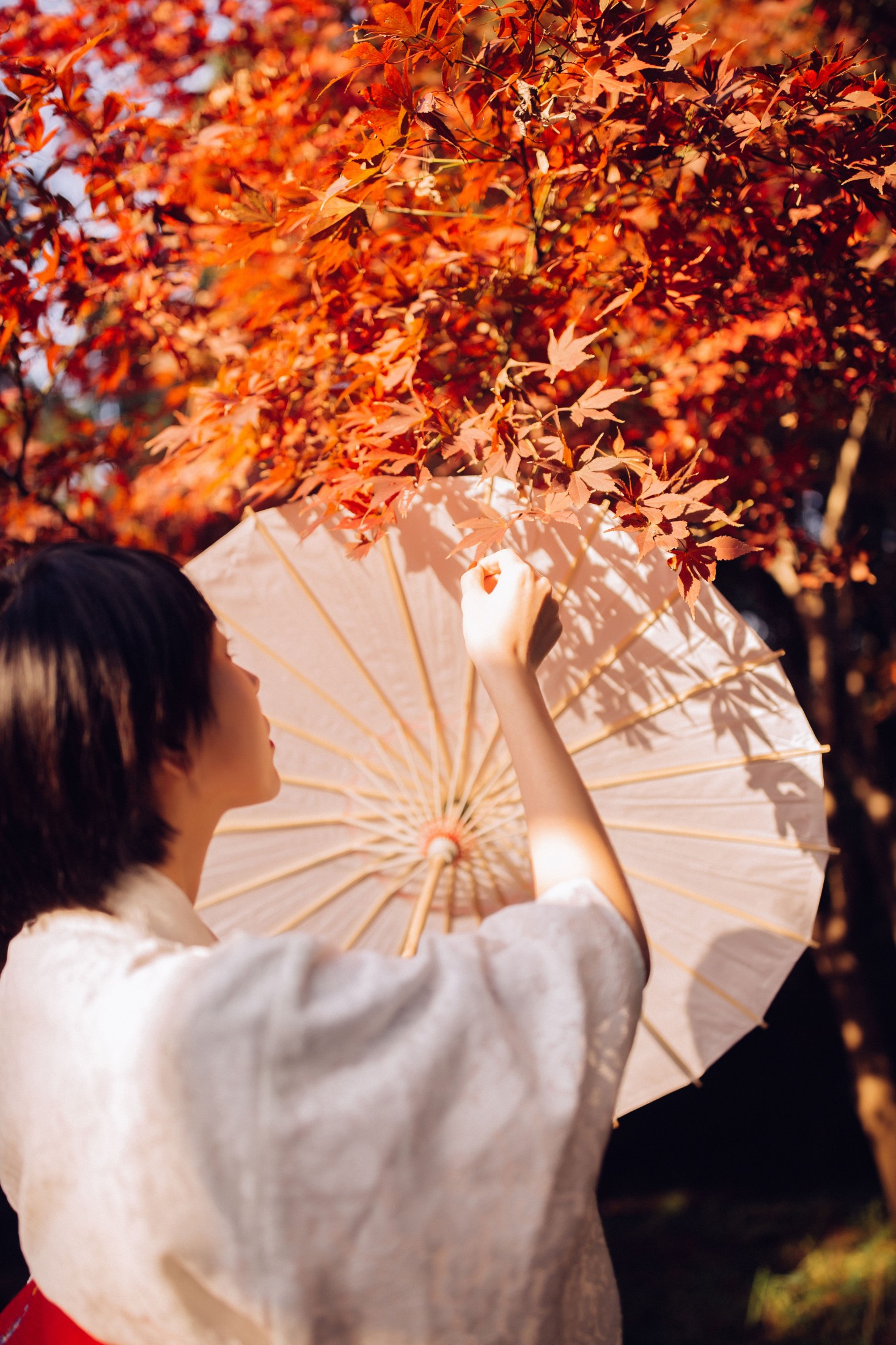 图片[6]-君洳 – 《枫》[47P]-COS写真在线网