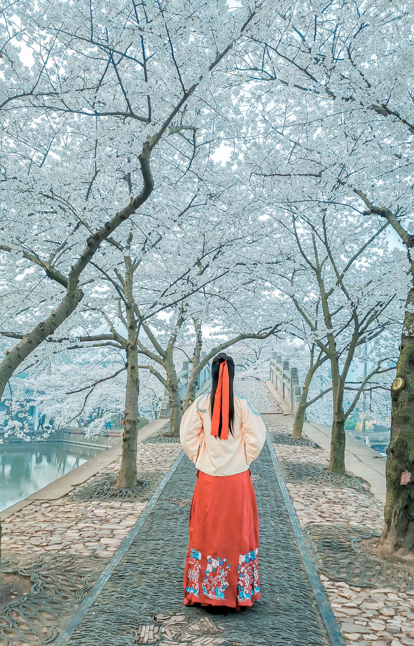 图片[3]-阿紫 – 《等一场春暖 待一树花开》[20P]-COS写真在线网