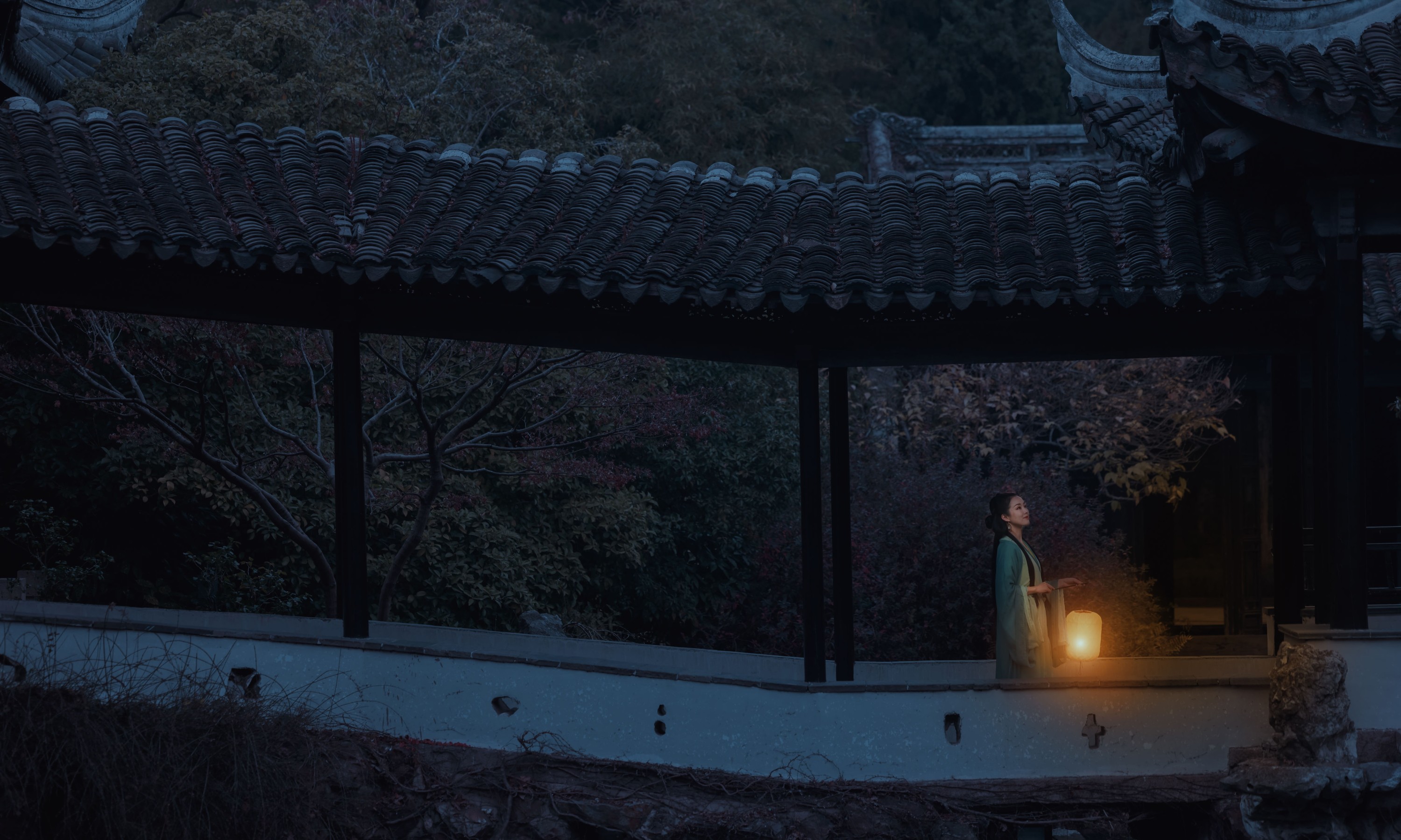 图片[5]-鹿呦 – 《清平误》[28P]-COS写真在线网