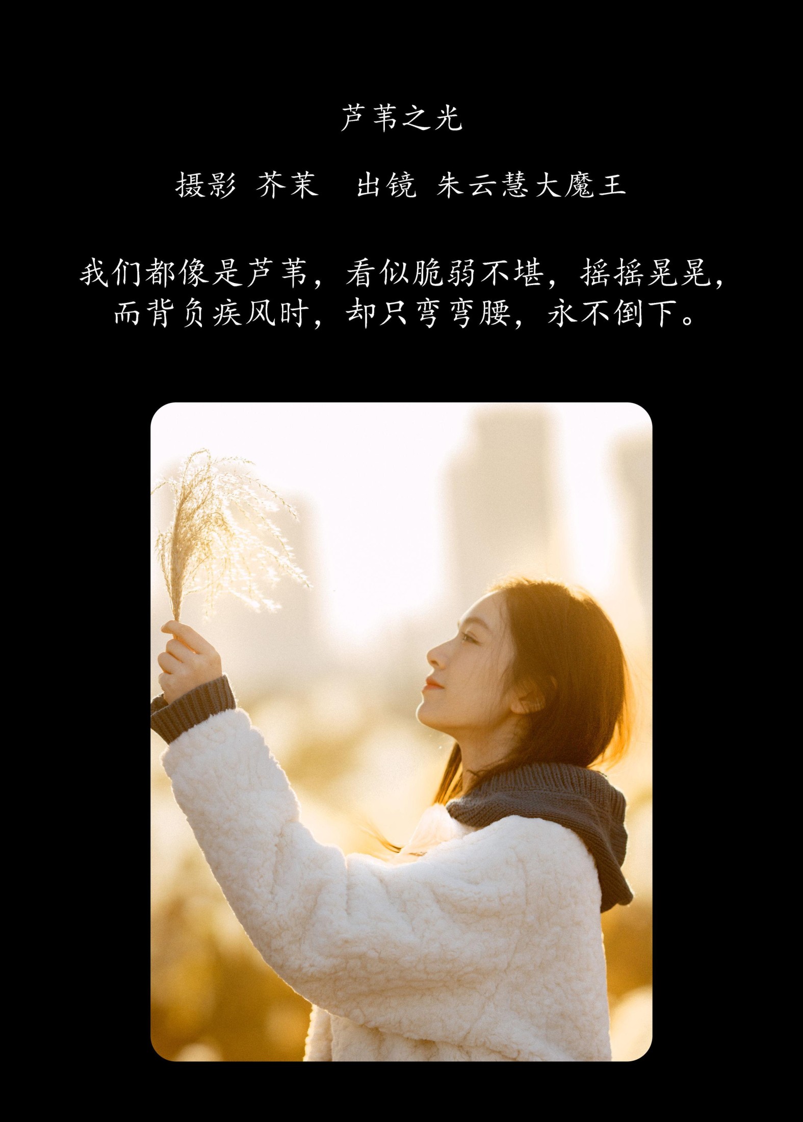 图片[2]-朱云慧大魔王 – 《芦苇之光》[24P]-COS写真在线网