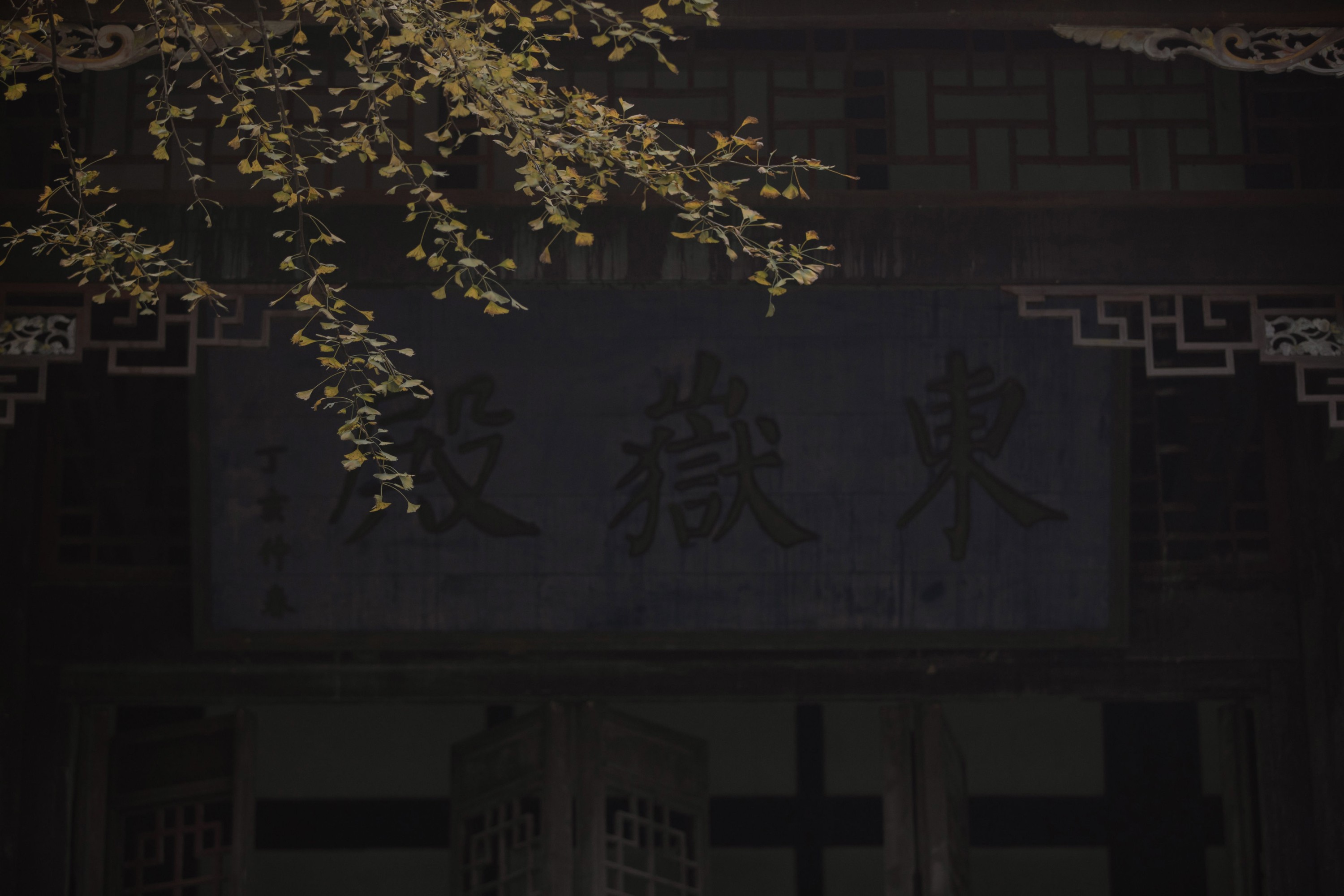 图片[4]-二鱼阿 – 《念及》[28P]-COS写真在线网