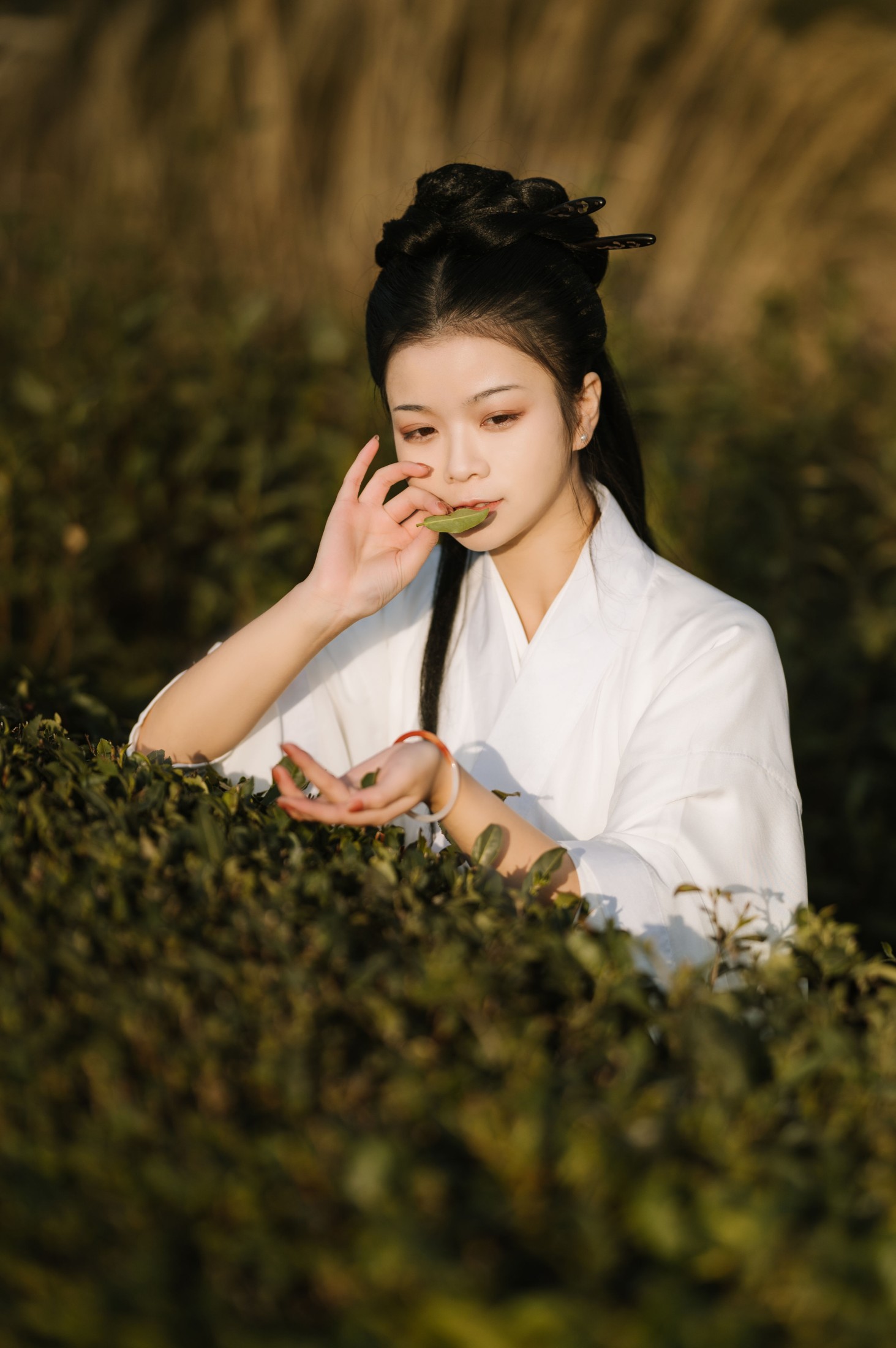 图片[5]-藏茗茗茗茗 – 《采茶》[31P]-COS写真在线网