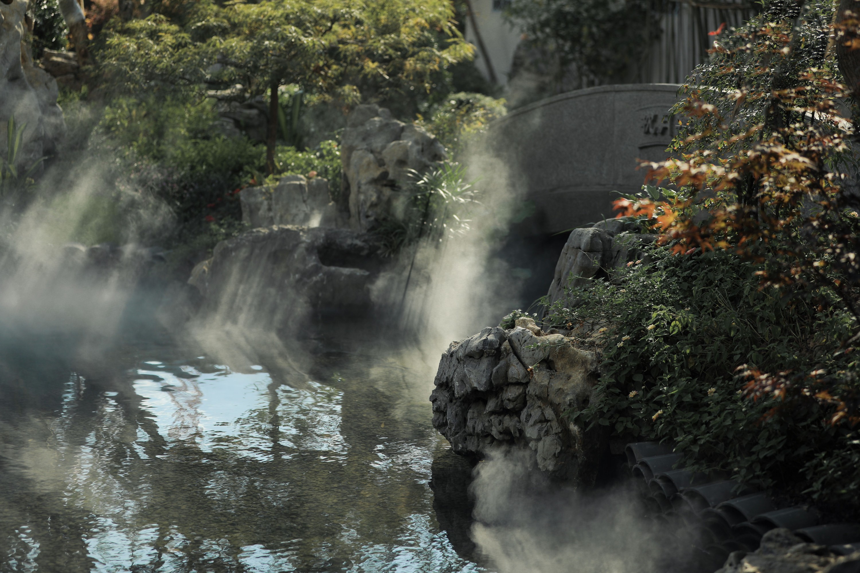 图片[5]-官官 – 《青团》[21P]-COS写真在线网