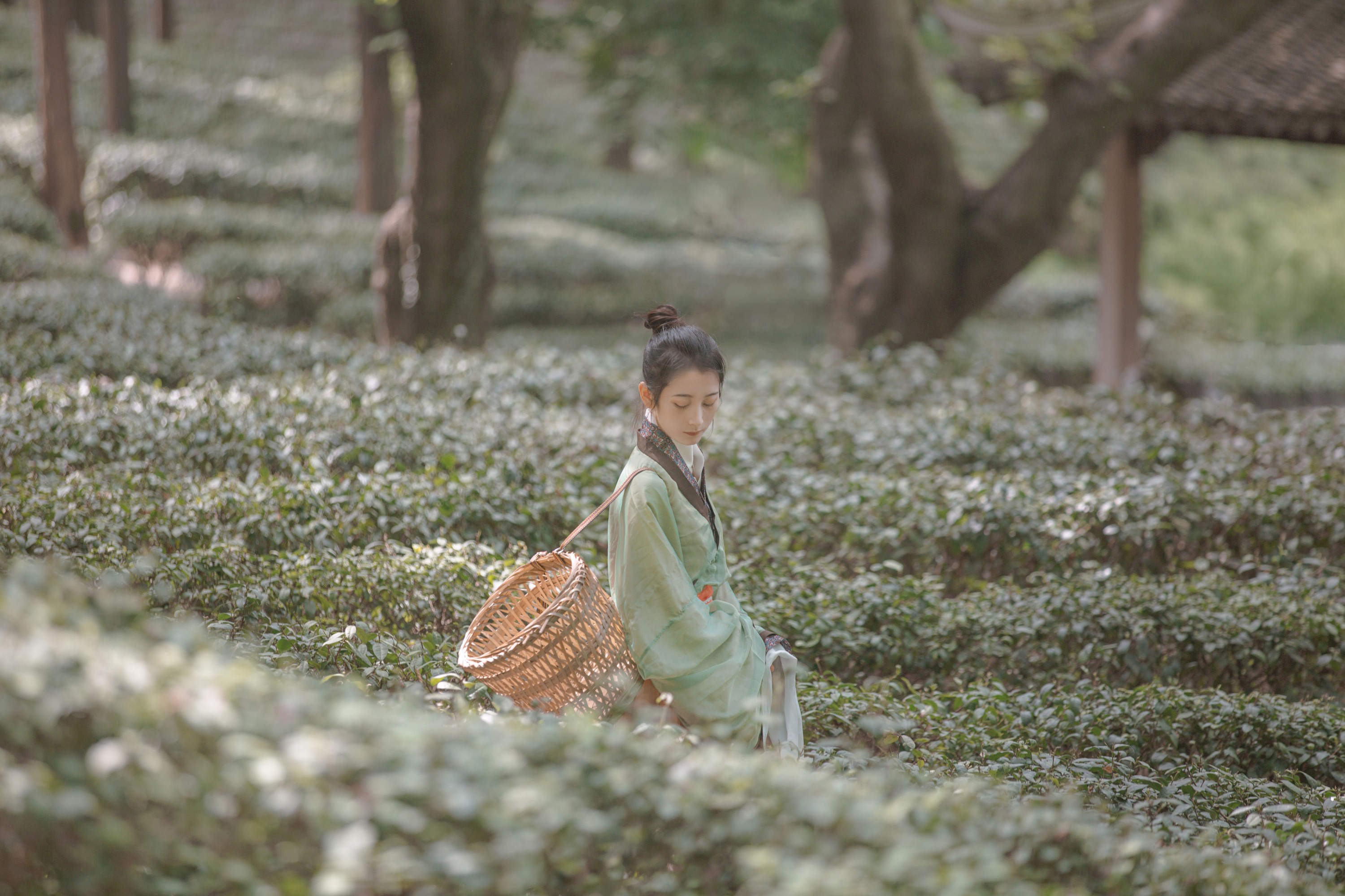 图片[3]-五月的三花猫 – 《赠隐者》[23P]-COS写真在线网