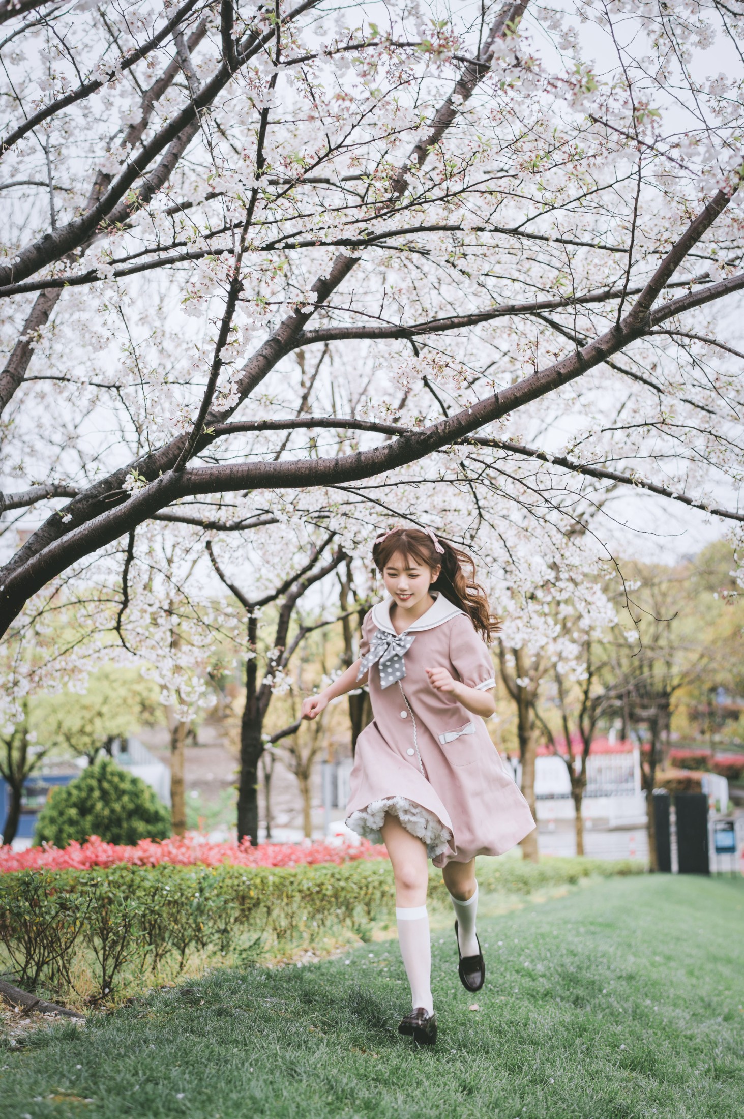 图片[5]-田子 – 《雨樱》[31P]-COS写真在线网