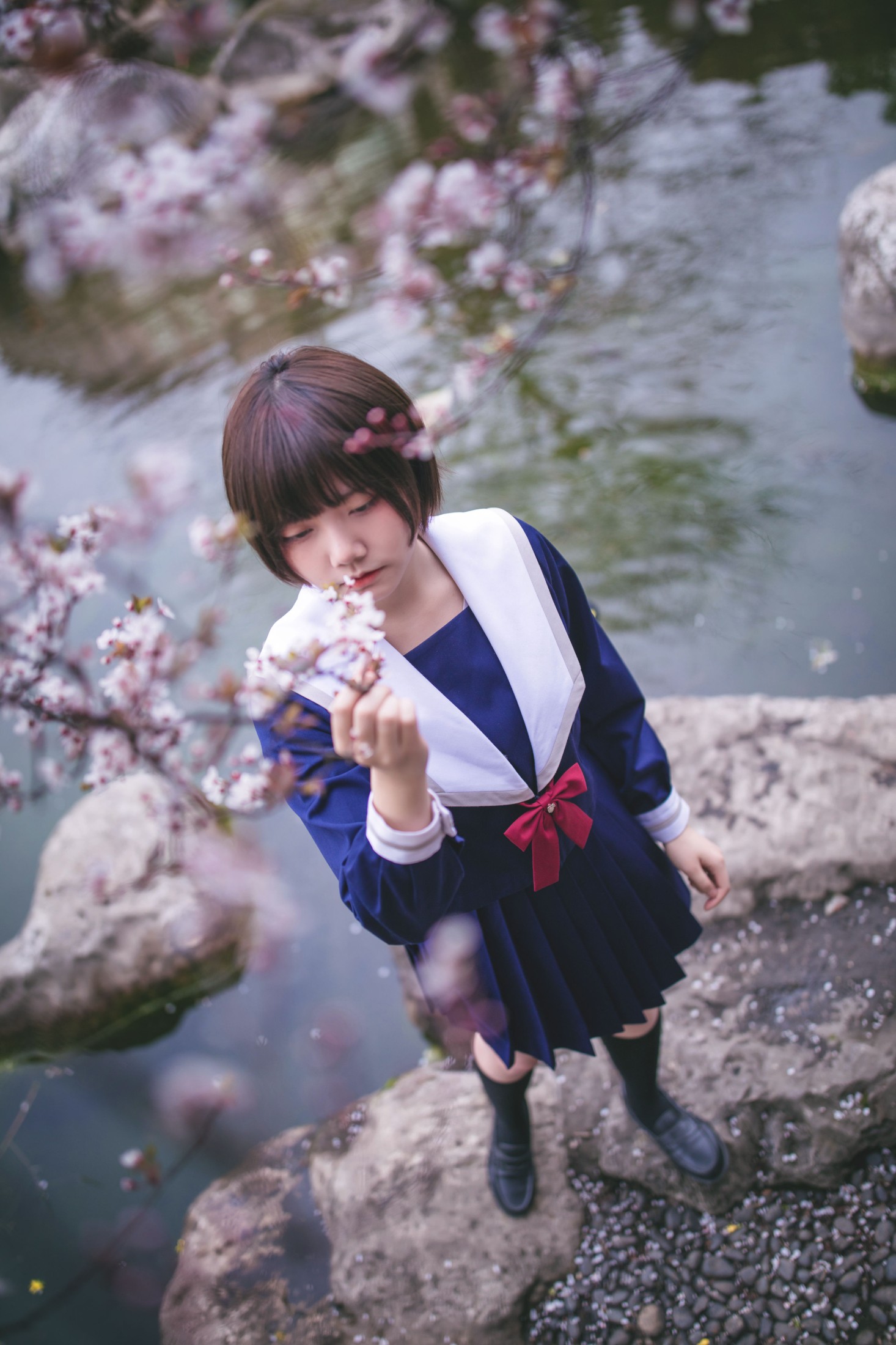 图片[5]-灰猫 – 《樱花树下》[20P]-COS写真在线网