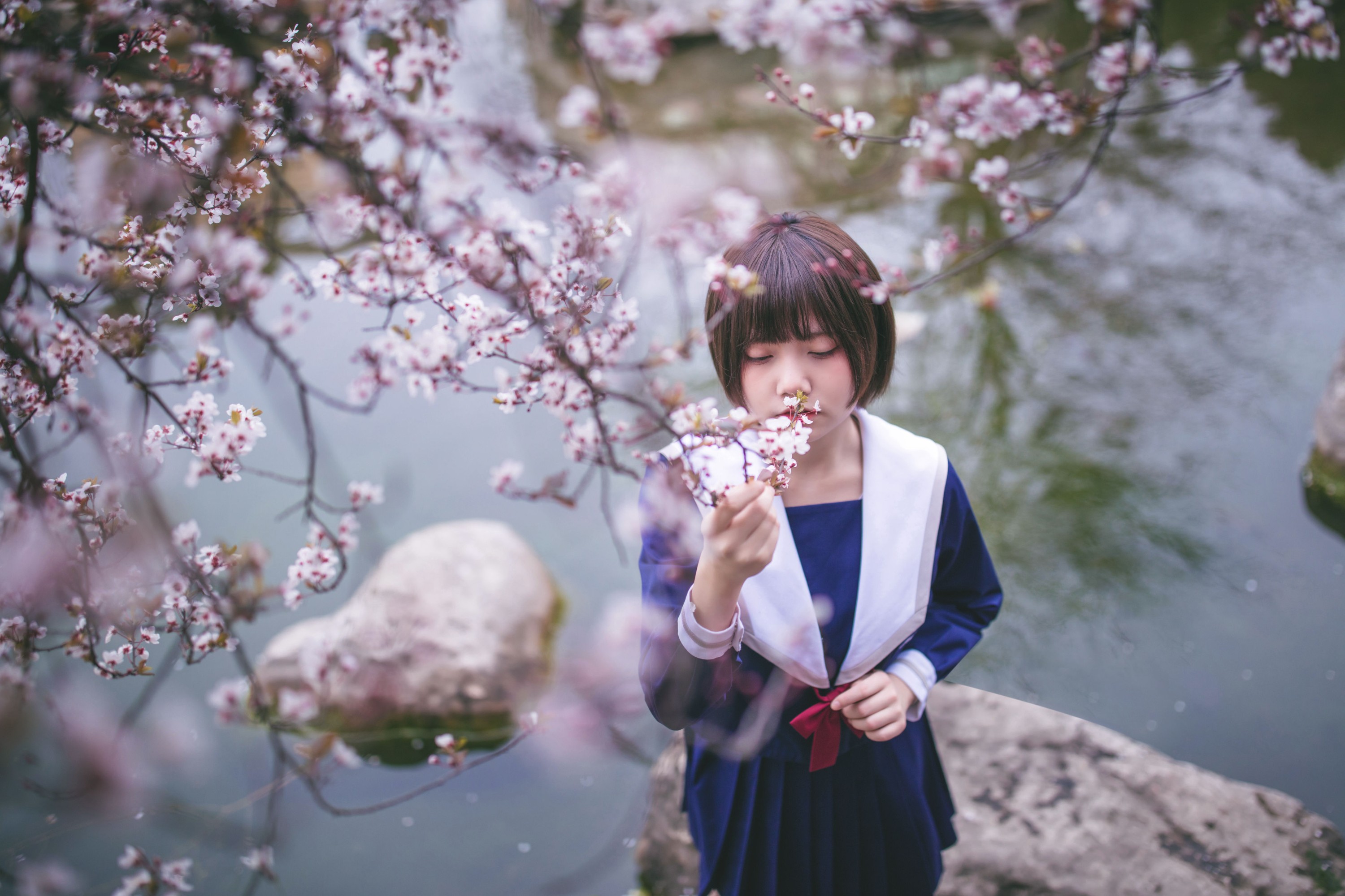 图片[3]-灰猫 – 《樱花树下》[20P]-COS写真在线网