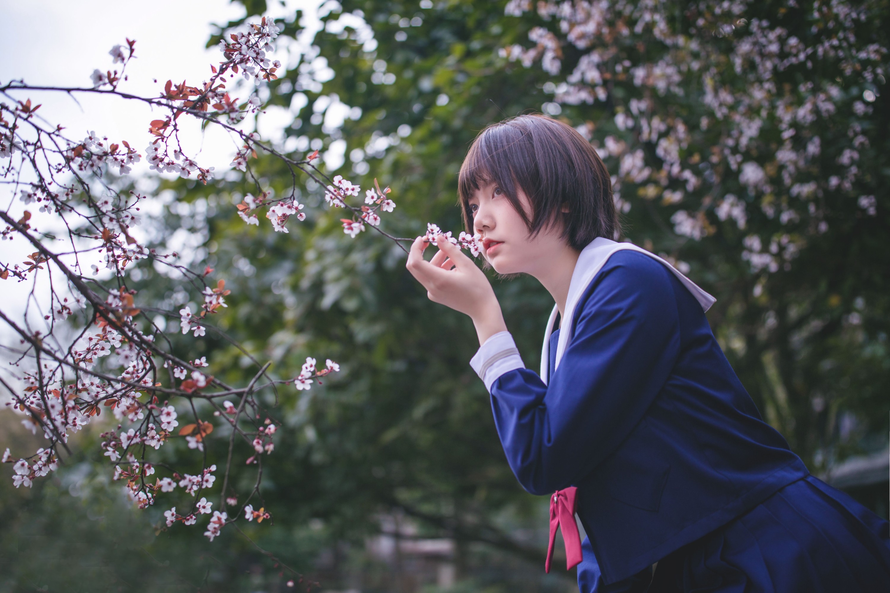 图片[4]-灰猫 – 《樱花树下》[20P]-COS写真在线网