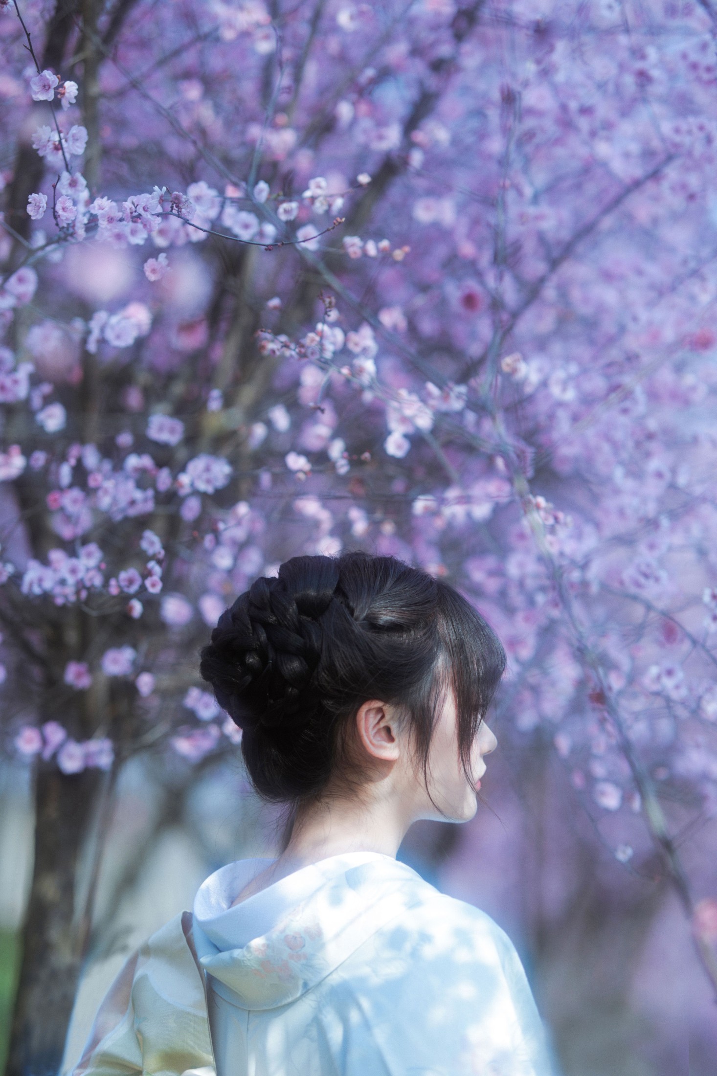 图片[5]-小若 – 《梦中之花》[28P]-COS写真在线网