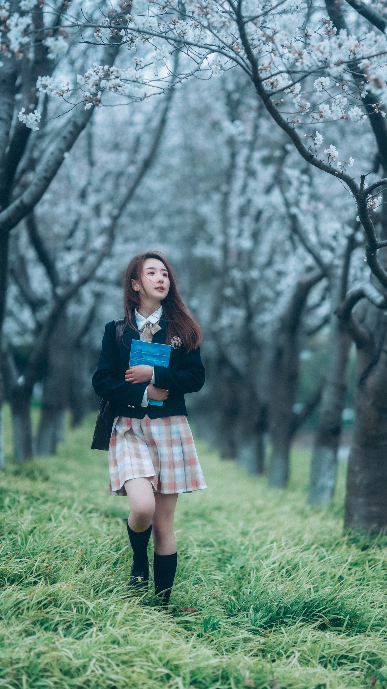图片[4]-富贵 – 《少女与樱》[43P]-COS写真在线网