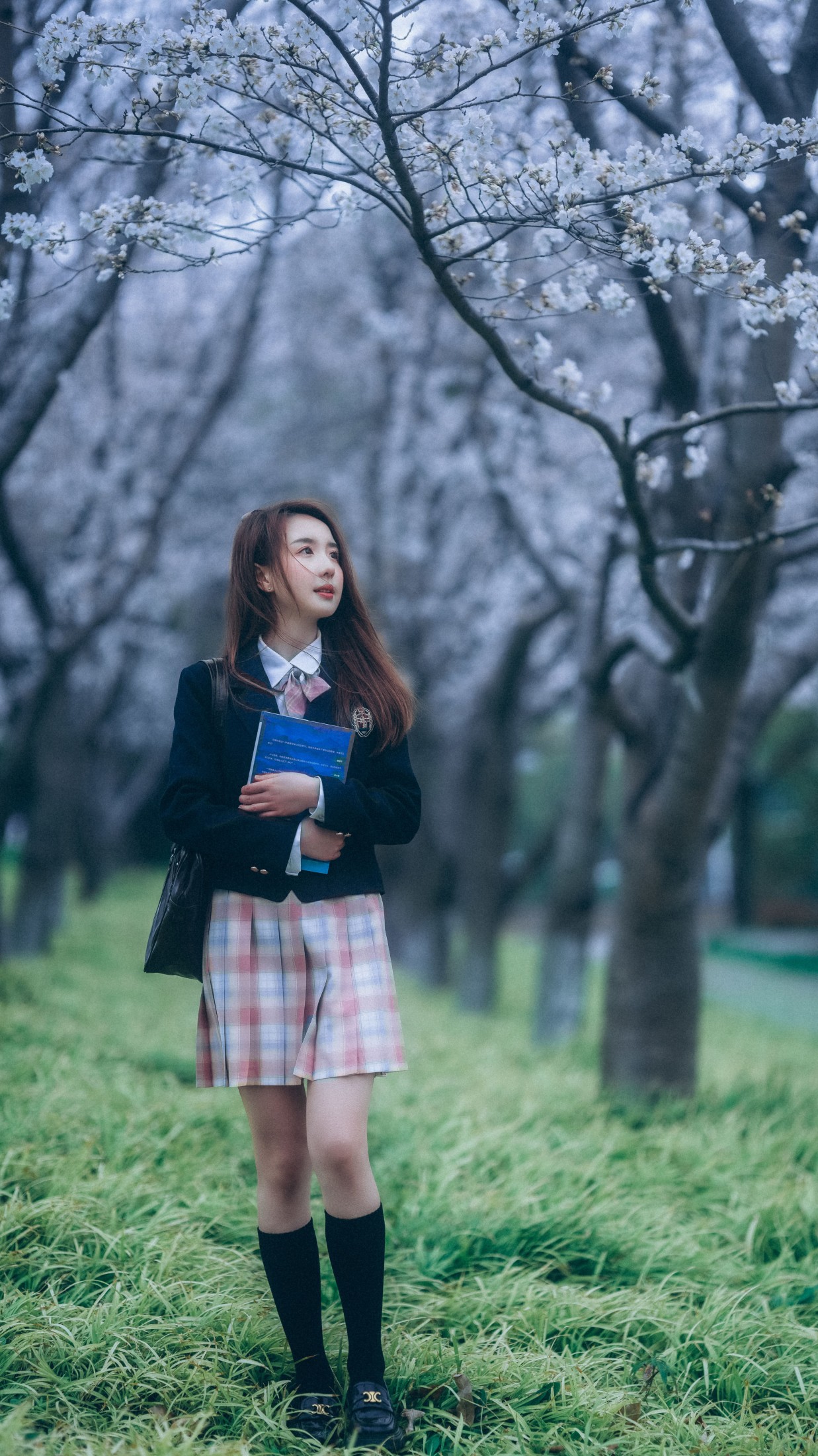图片[5]-富贵 – 《少女与樱》[43P]-COS写真在线网