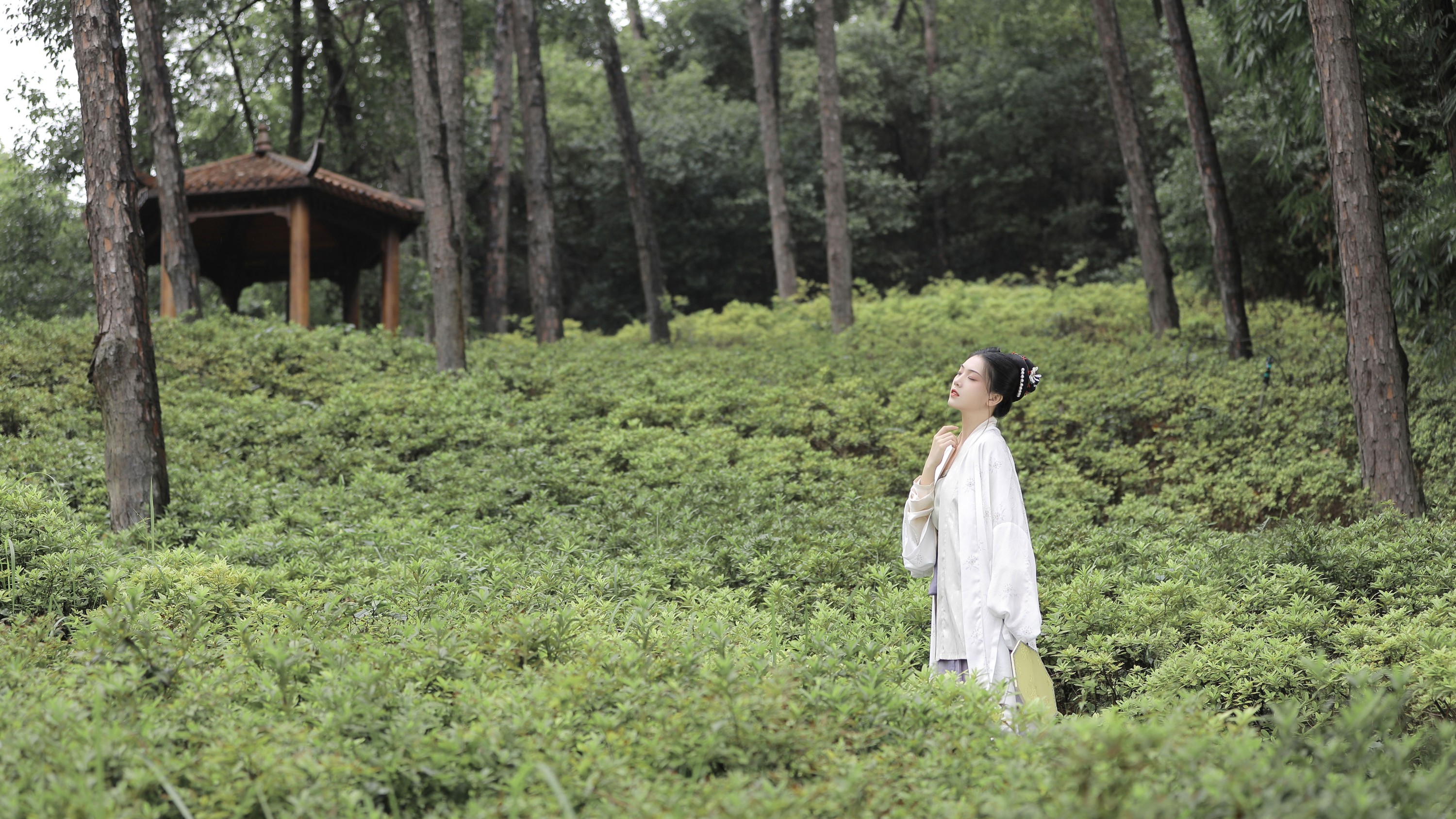 图片[5]-芝芝琪 – 《剪一片云绿》[23P]-COS写真在线网