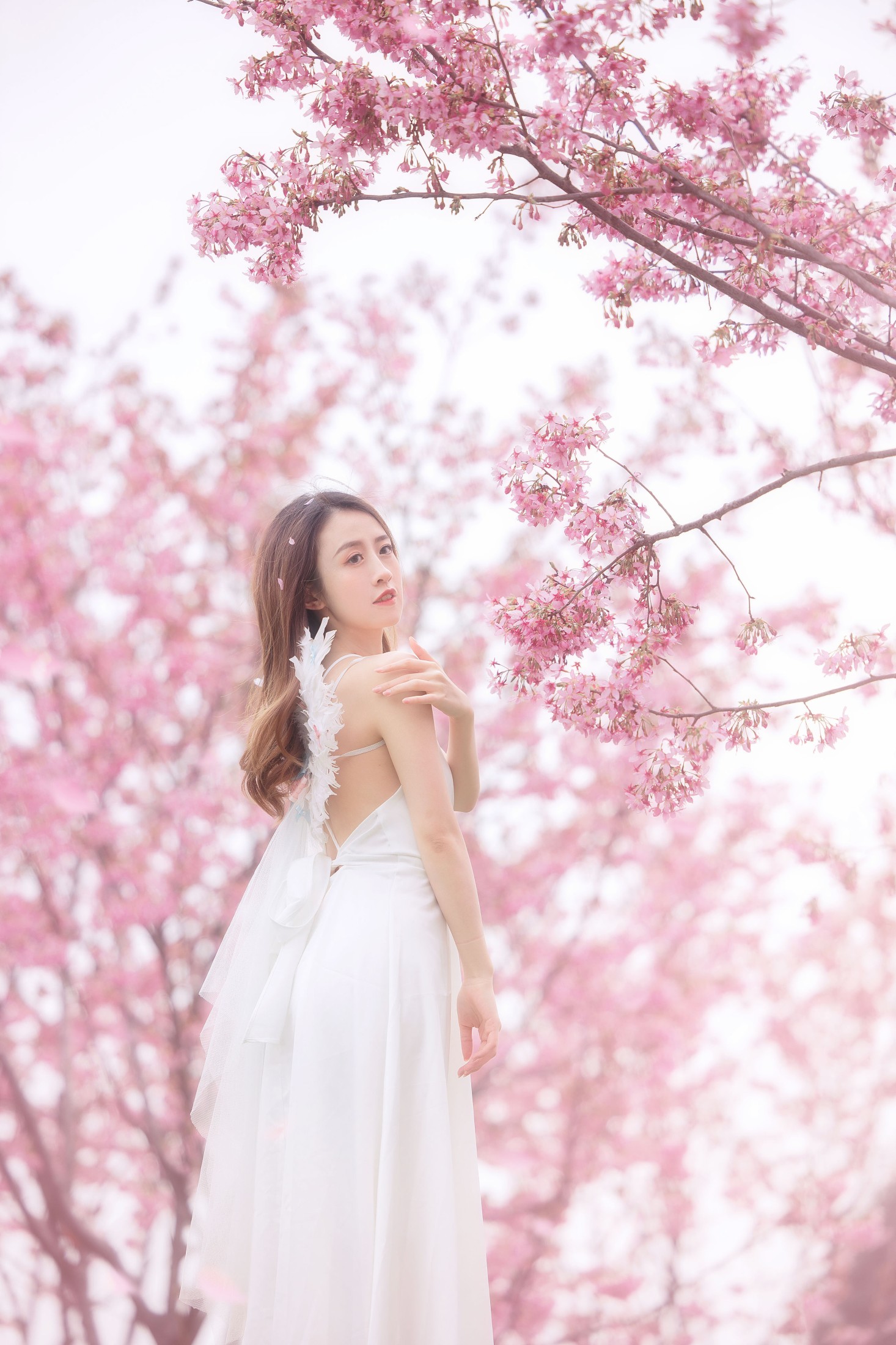 图片[5]-子依 – 《樱花》[29P]-COS写真在线网