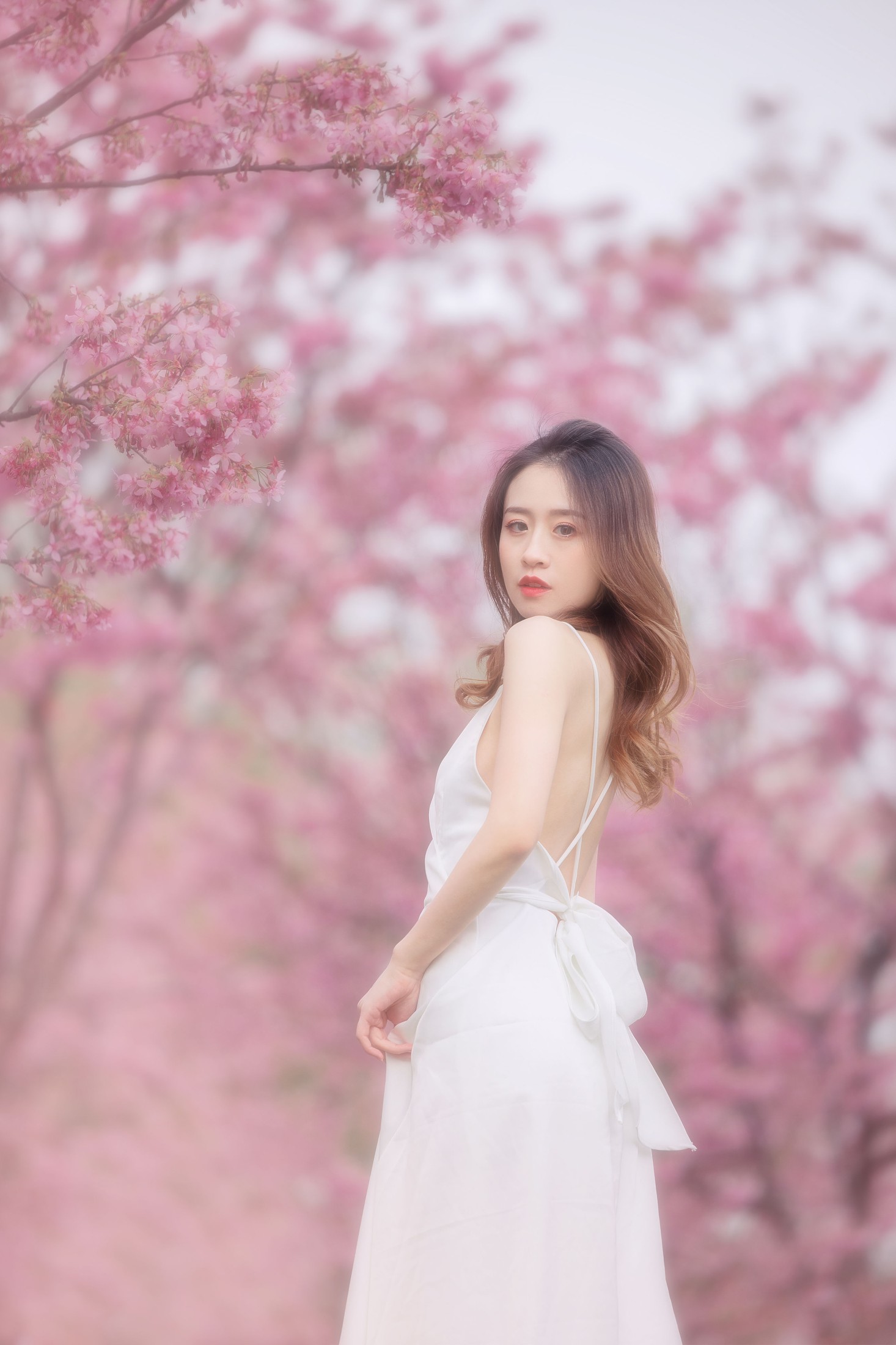 图片[3]-子依 – 《樱花》[29P]-COS写真在线网