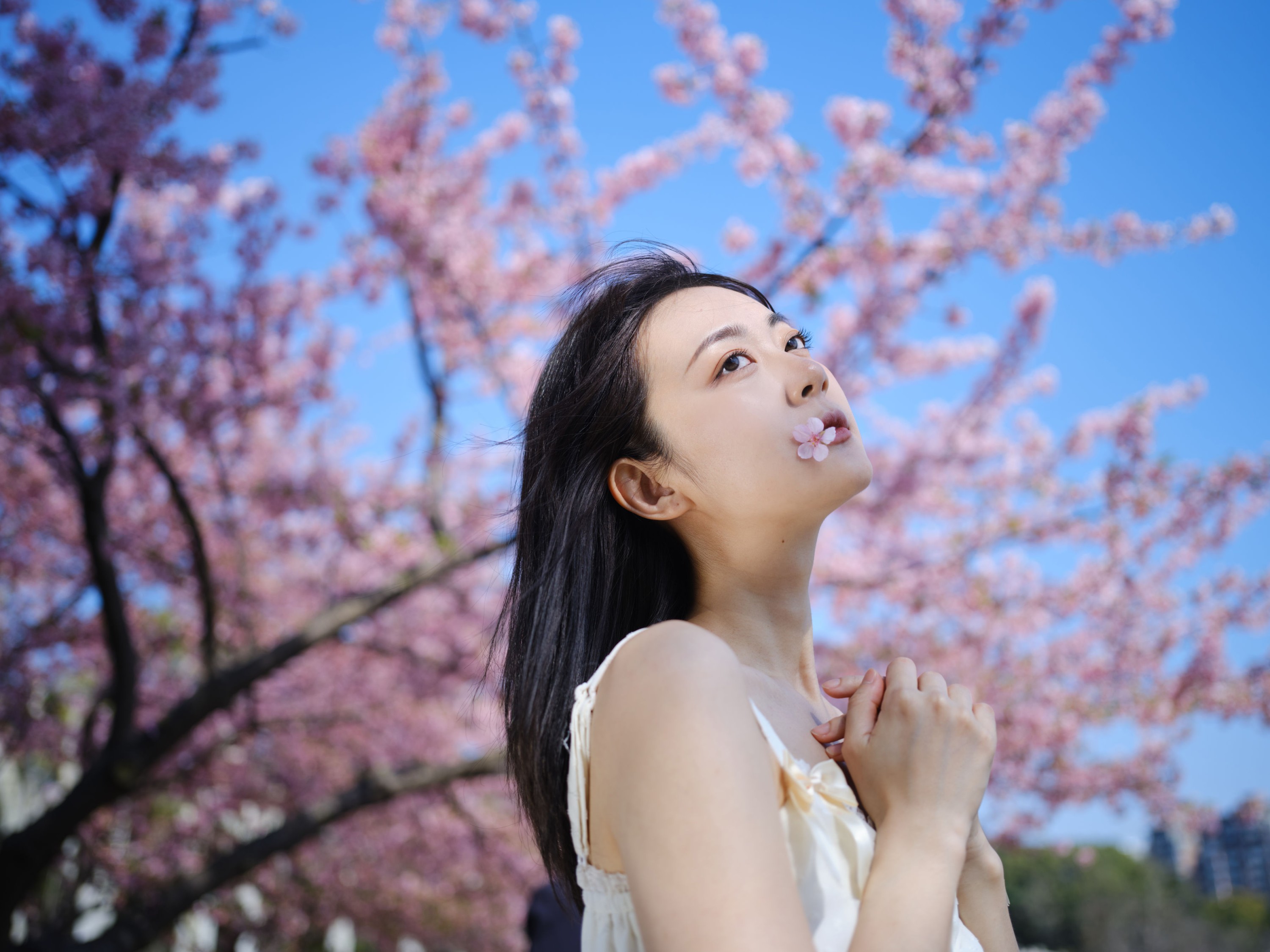 图片[4]-飞鸟咕咕- – 《白裙》[24P]-COS写真在线网