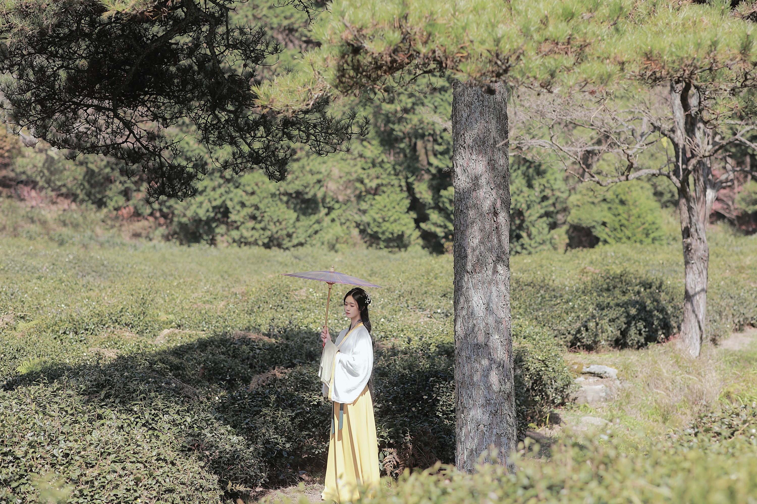 图片[5]-之楠楠楠 – 《采茶女》[22P]-COS写真在线网