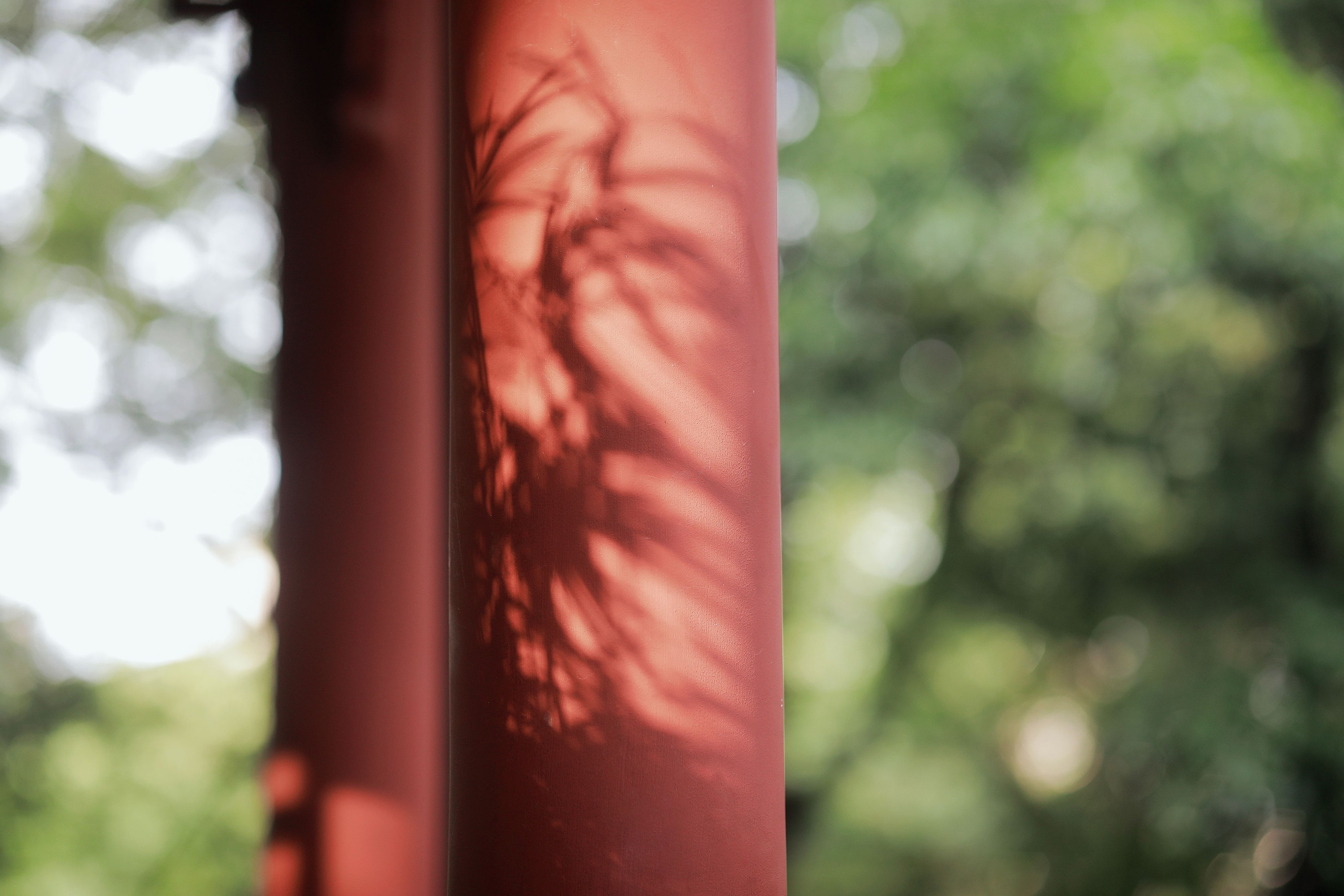 图片[5]-嘉仪 – 《山居煎茶》[22P]-COS写真在线网