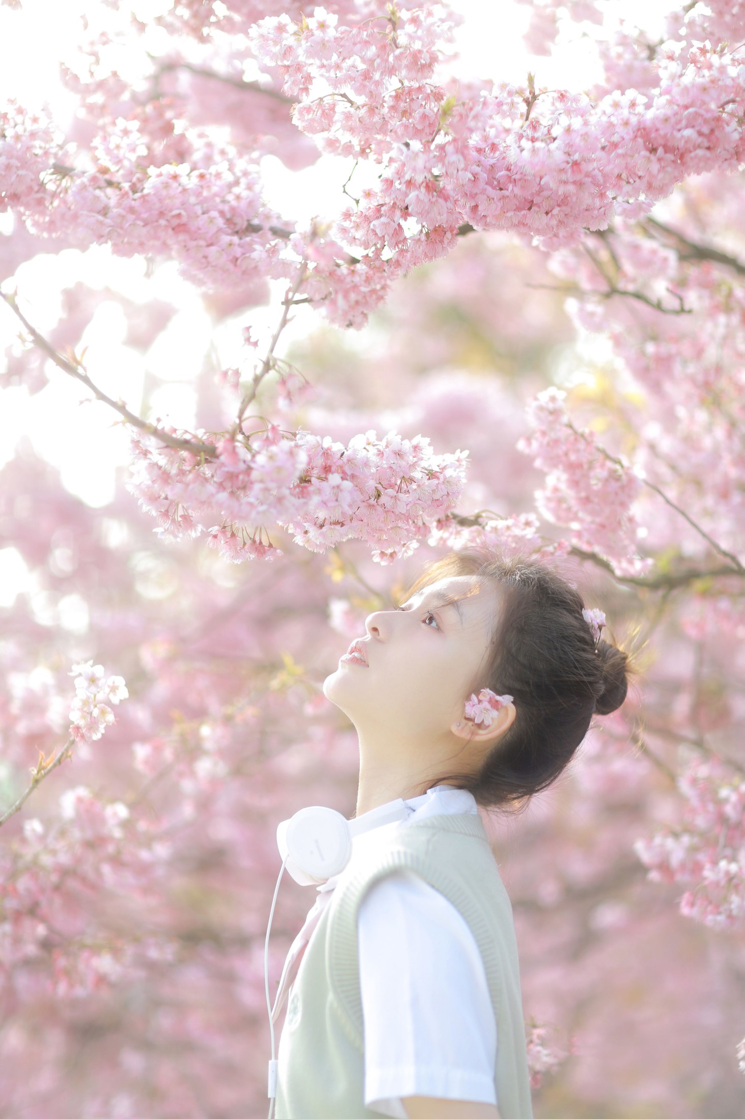 图片[3]-瑞秋的快乐人生 – 《樱花下的春日心动》[23P]-COS写真在线网