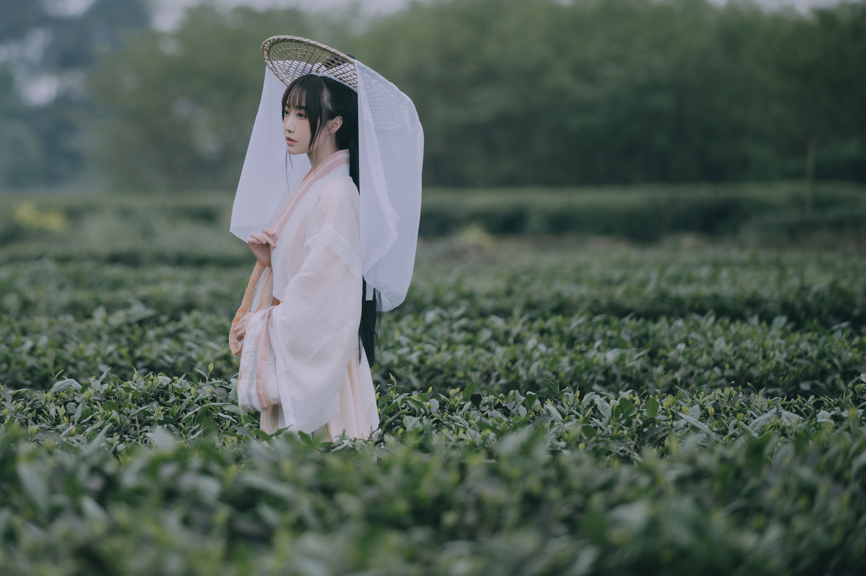 图片[4]-蹭饭 – 《采茶东篱下》[20P]-COS写真在线网