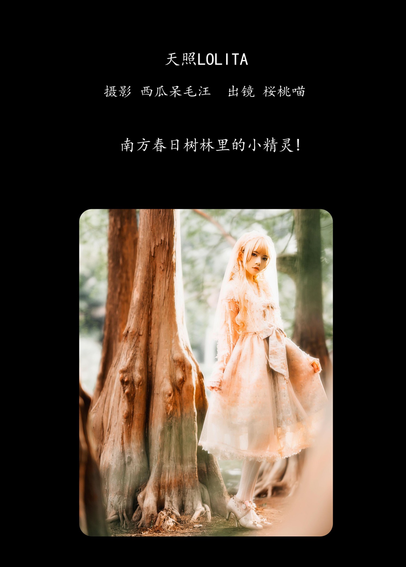 图片[2]-桜桃喵 – 《天照LOLITA》[22P]-COS写真在线网