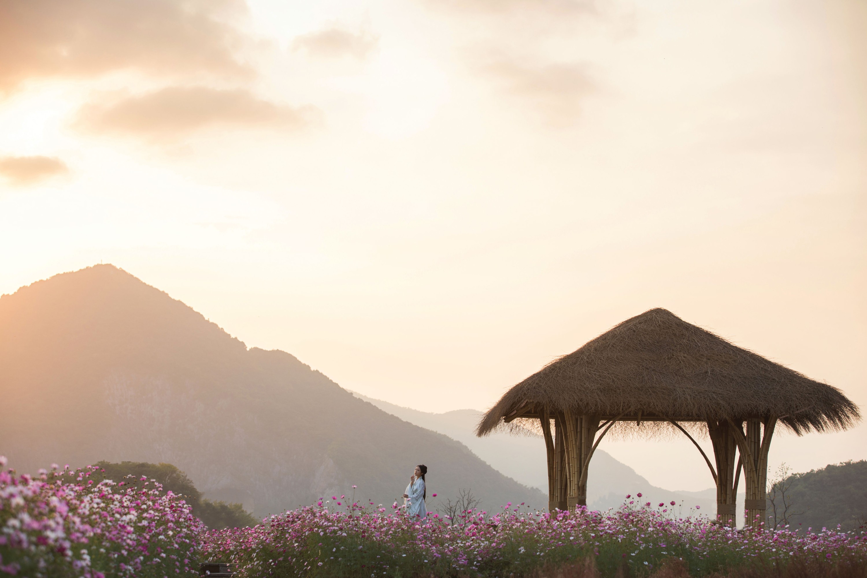 超困的鹿 – 《娑萝》[22P] - 秀人网免费无水印在线套图写真