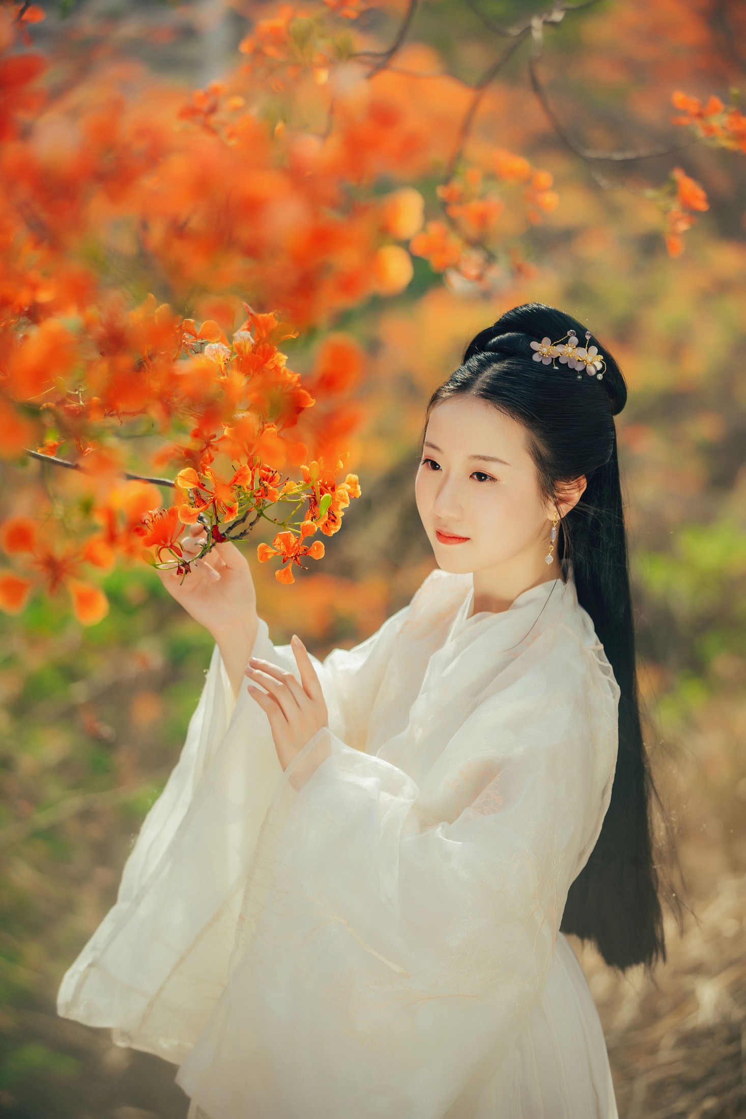 图片[3]-粥米饭 – 《凤凰花开》[26P]-COS写真在线网